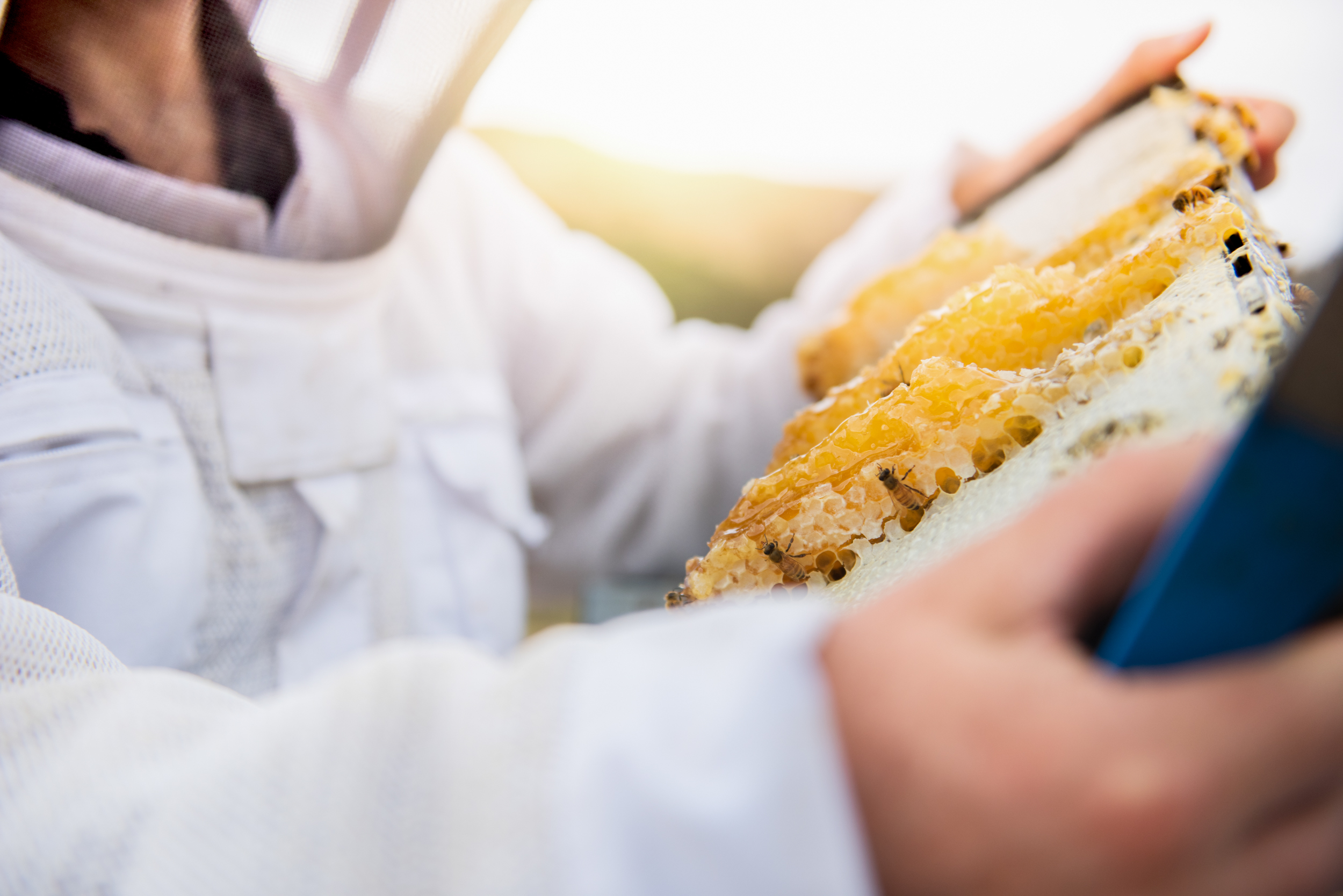 The Collective Force - Mānuka Health