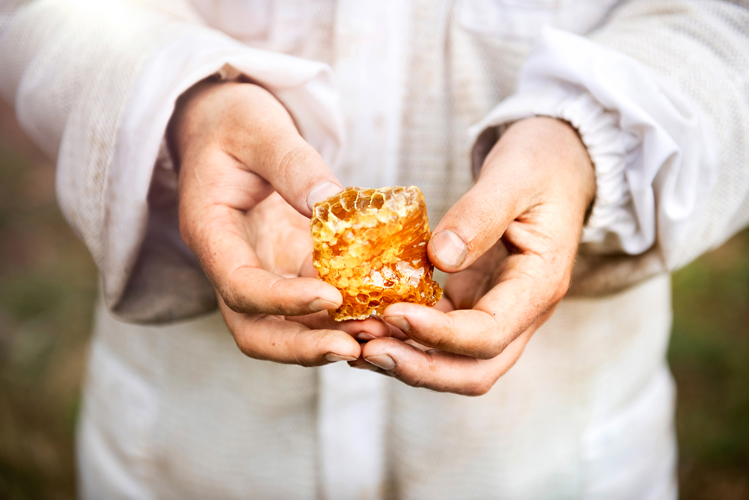 The Collective Force - Mānuka Health