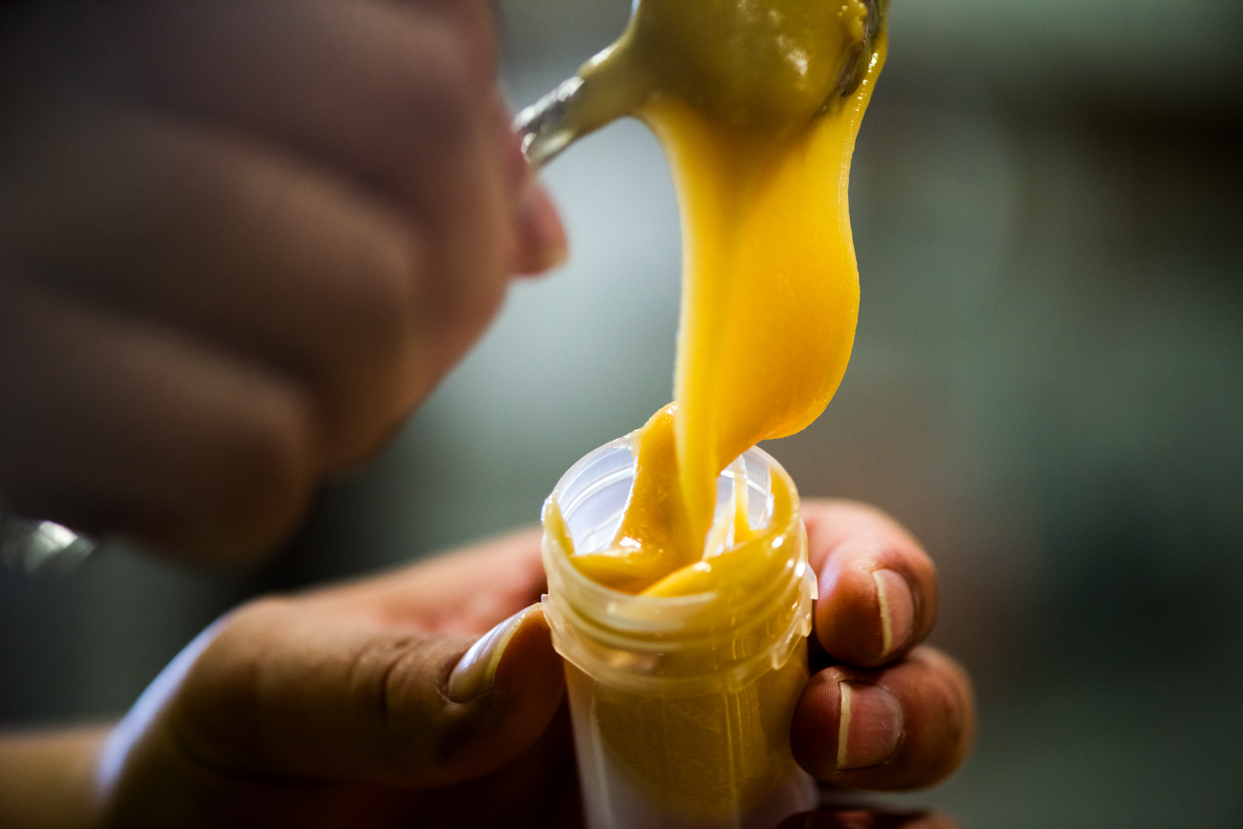 The Collective Force - Mānuka Health