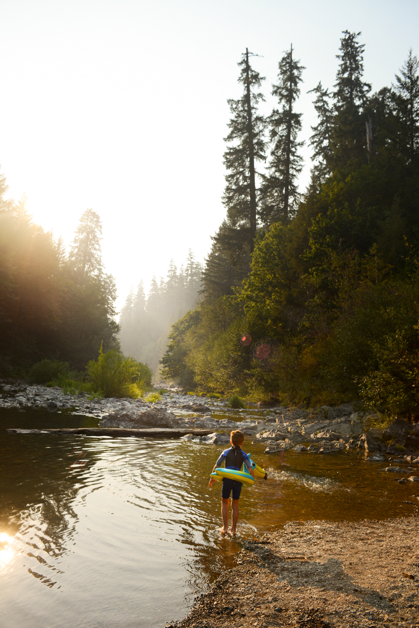 The Collective Force - Overview