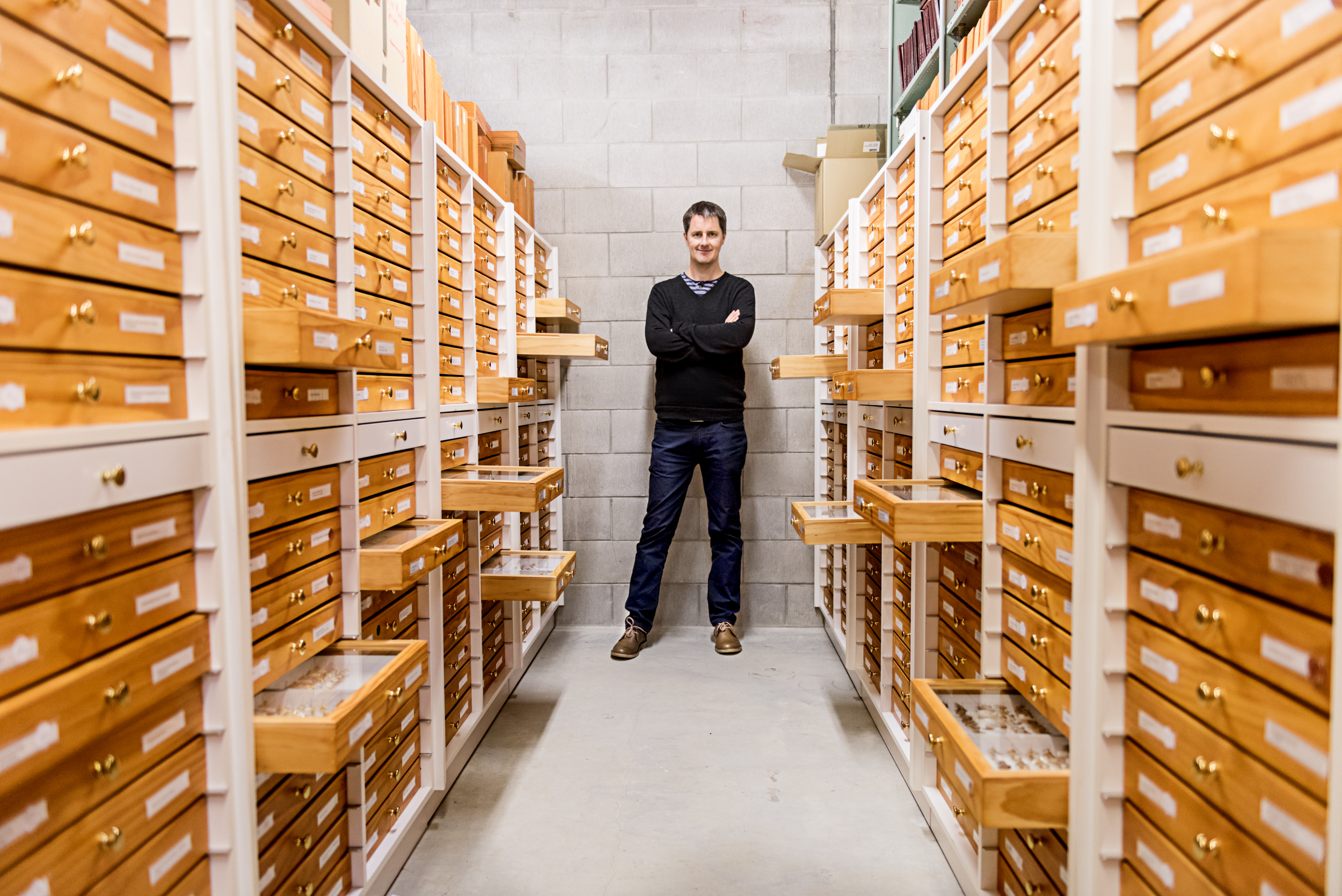 The Collective Force - Melissa Nickerson