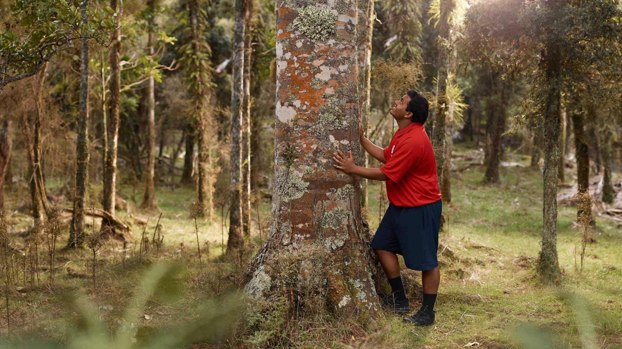 The Collective Force - Advertising