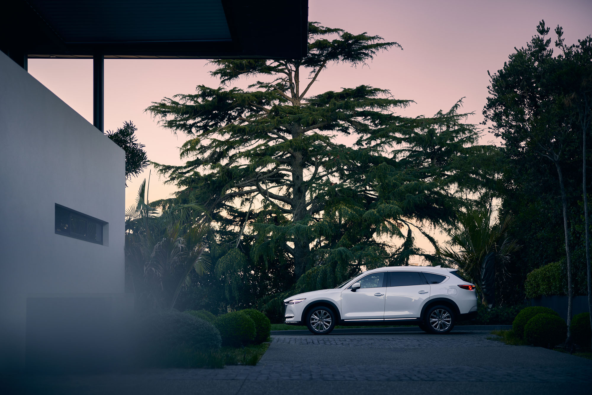 The Collective Force - Cars