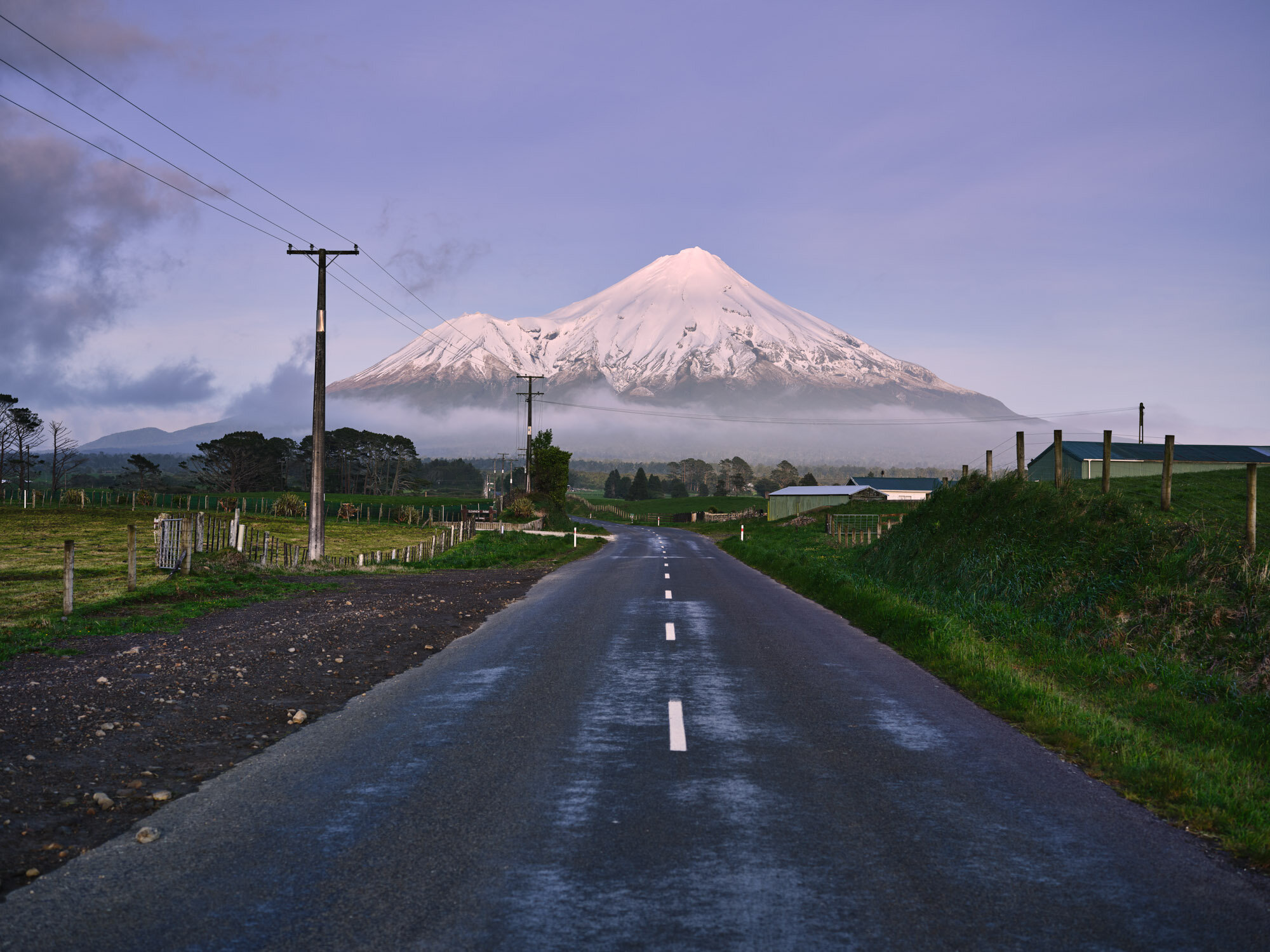 The Collective Force - Simeon Patience