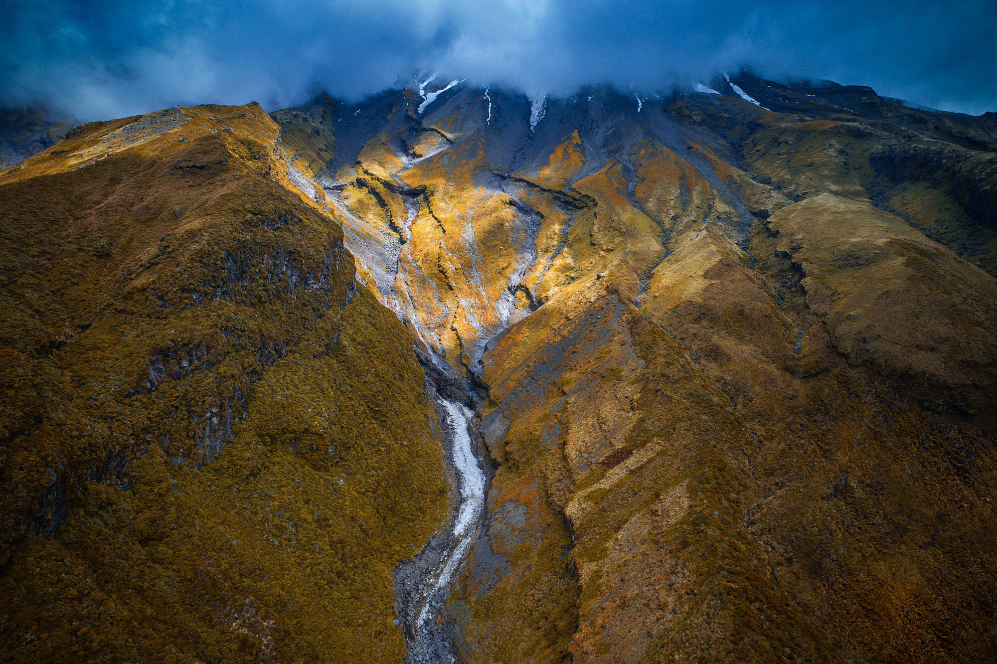 The Collective Force - Landscape