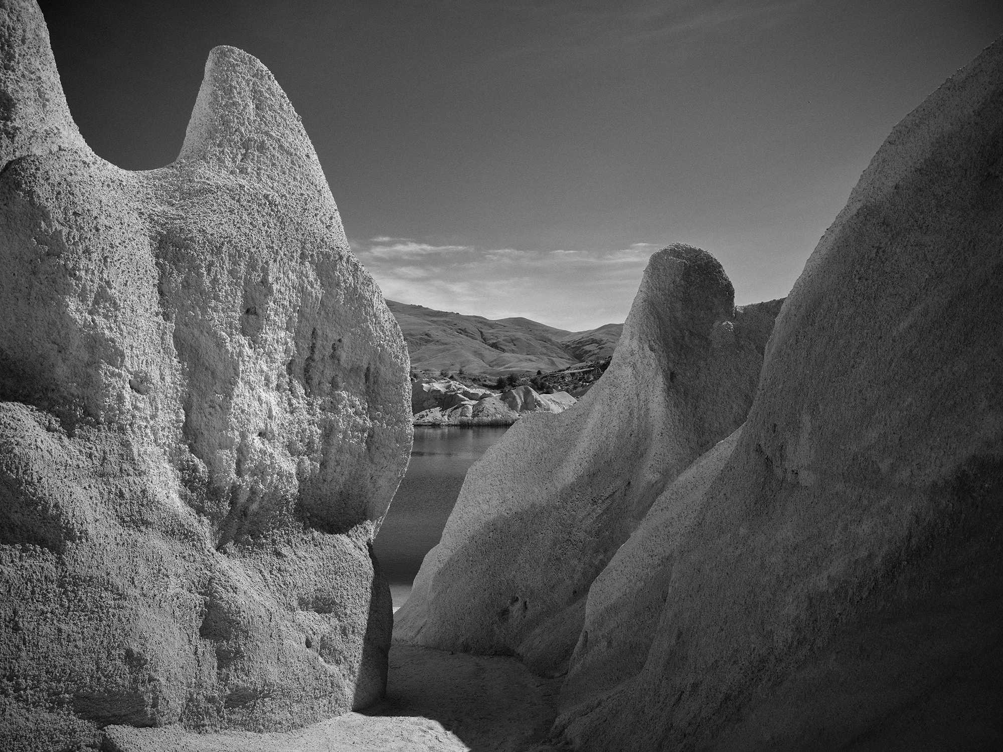 The Collective Force - Landscape