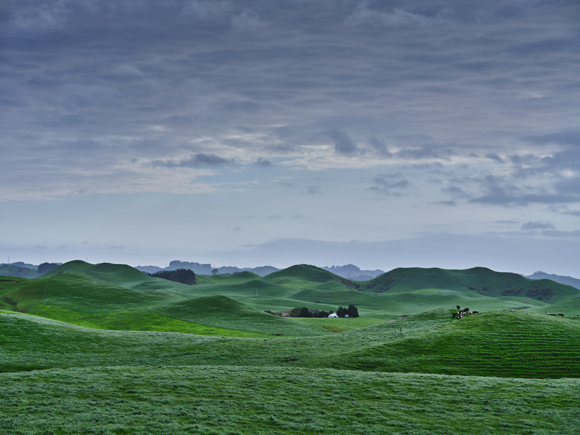 The Collective Force - Simeon Patience