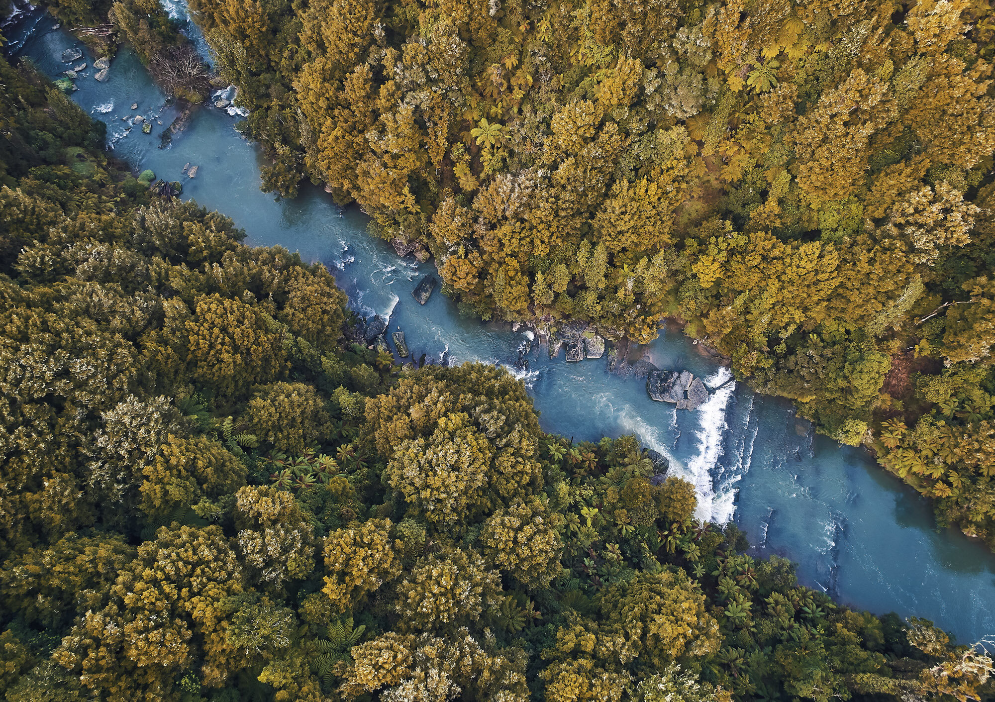 The Collective Force - Simeon Patience