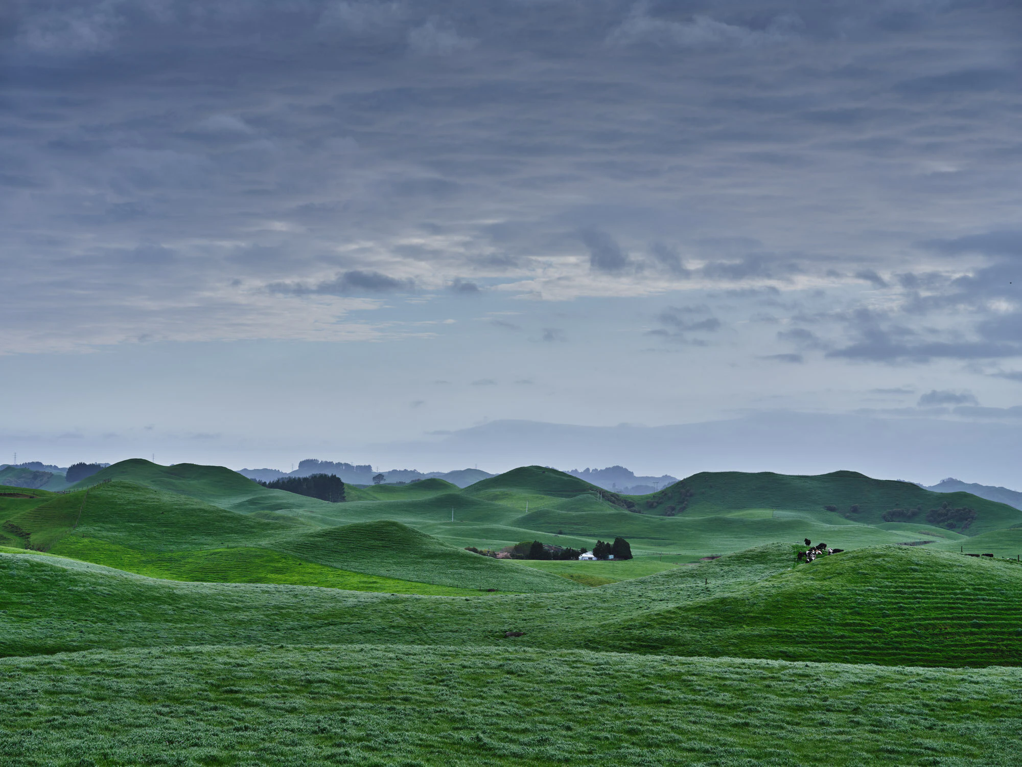 The Collective Force - Landscape