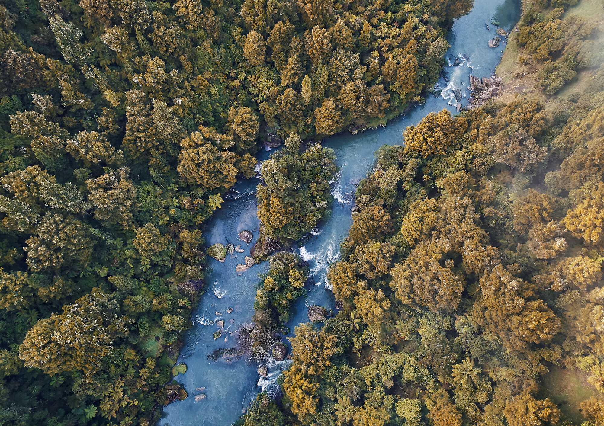 The Collective Force - Artists