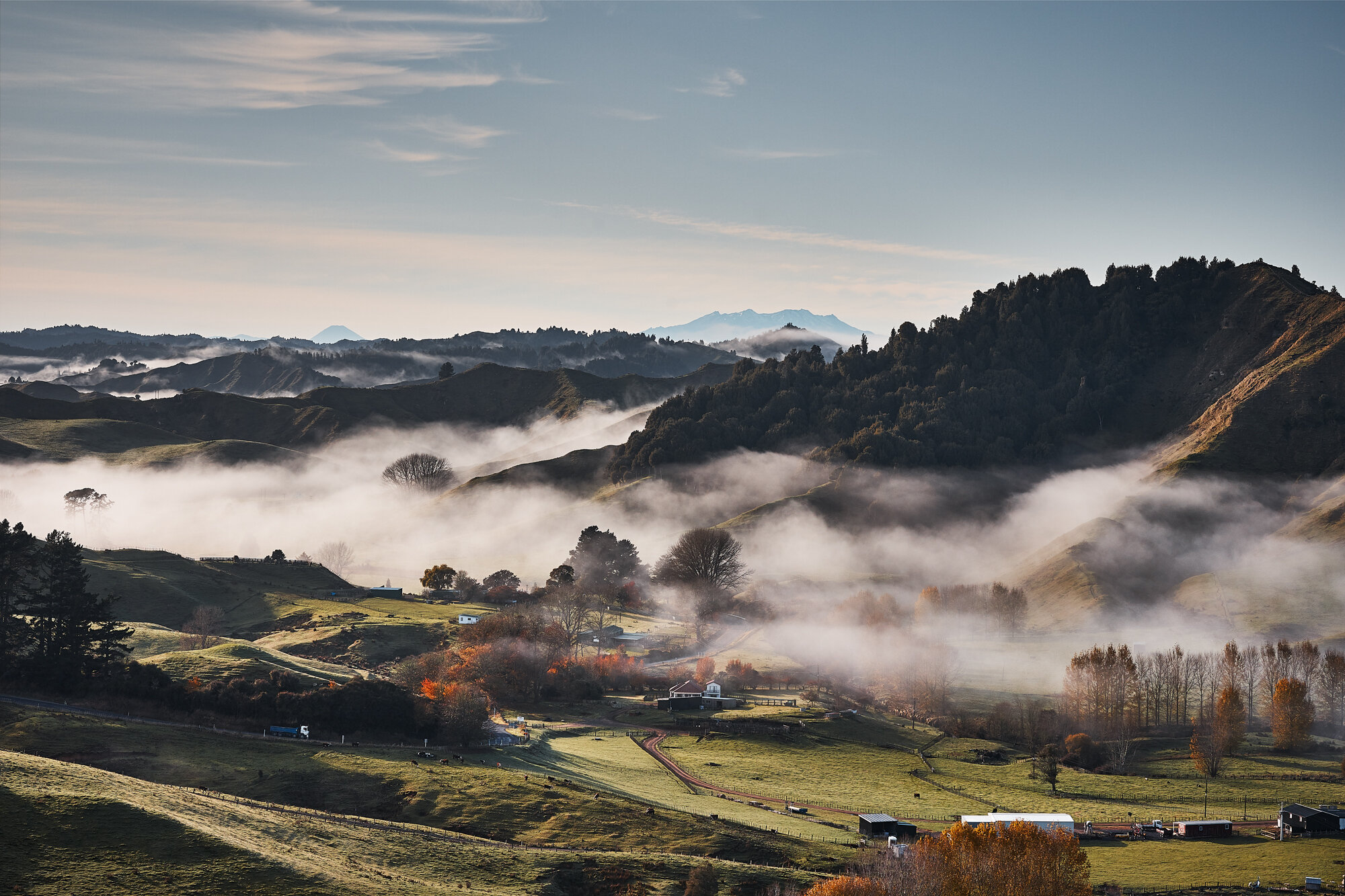The Collective Force - Simeon Patience