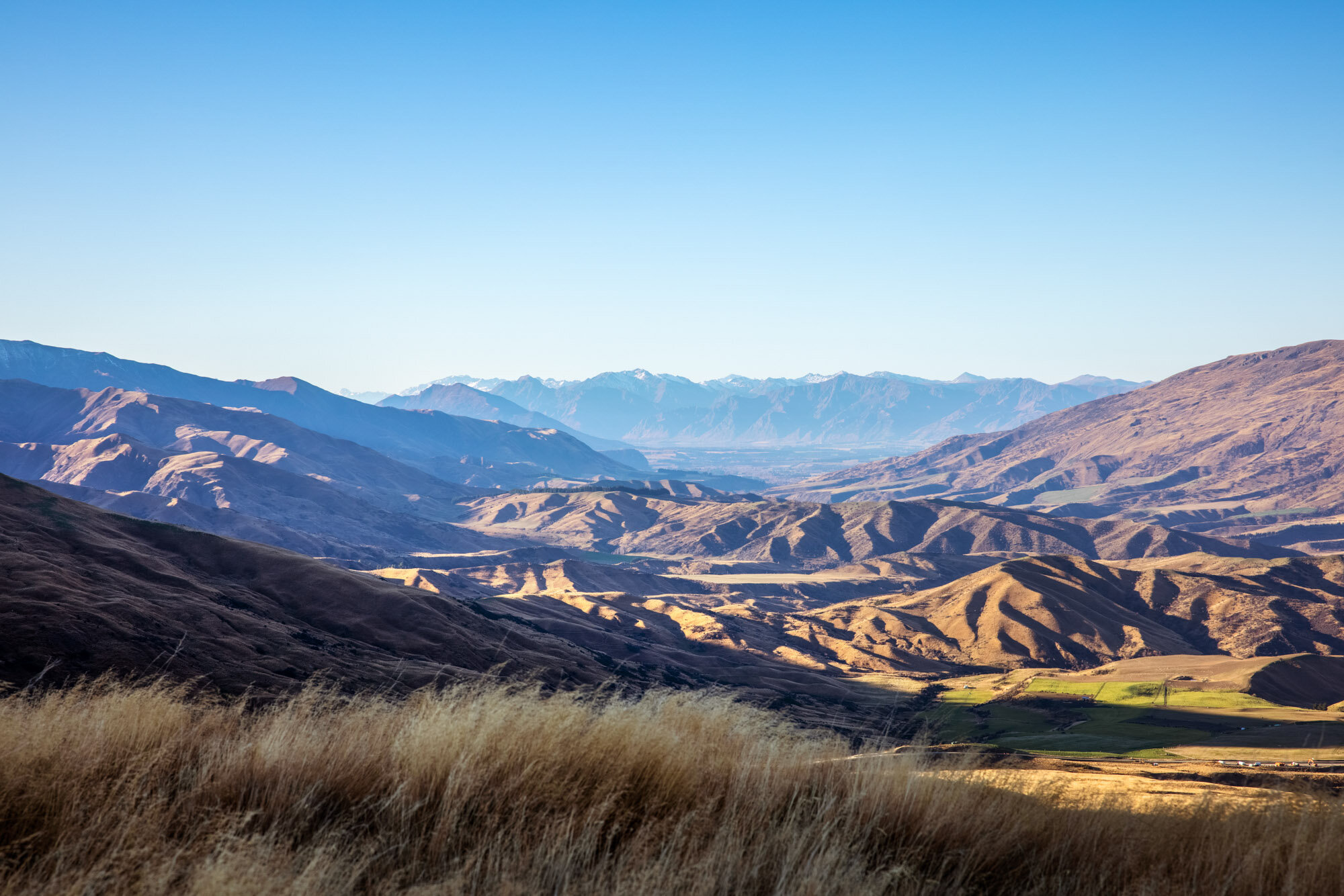 The Collective Force - Simeon Patience