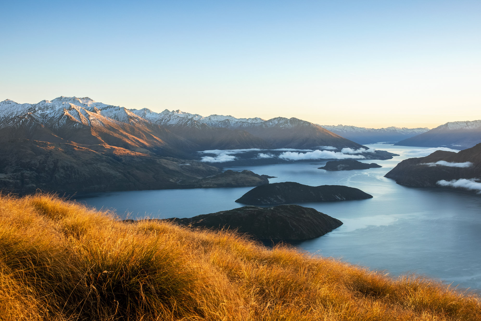 The Collective Force - Simeon Patience