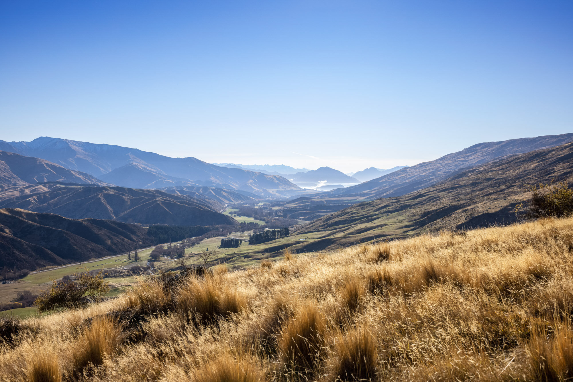 The Collective Force - Simeon Patience