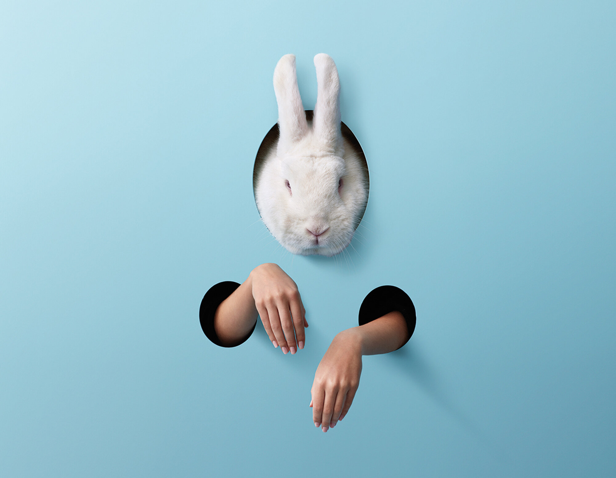 The Collective Force - Conceptual