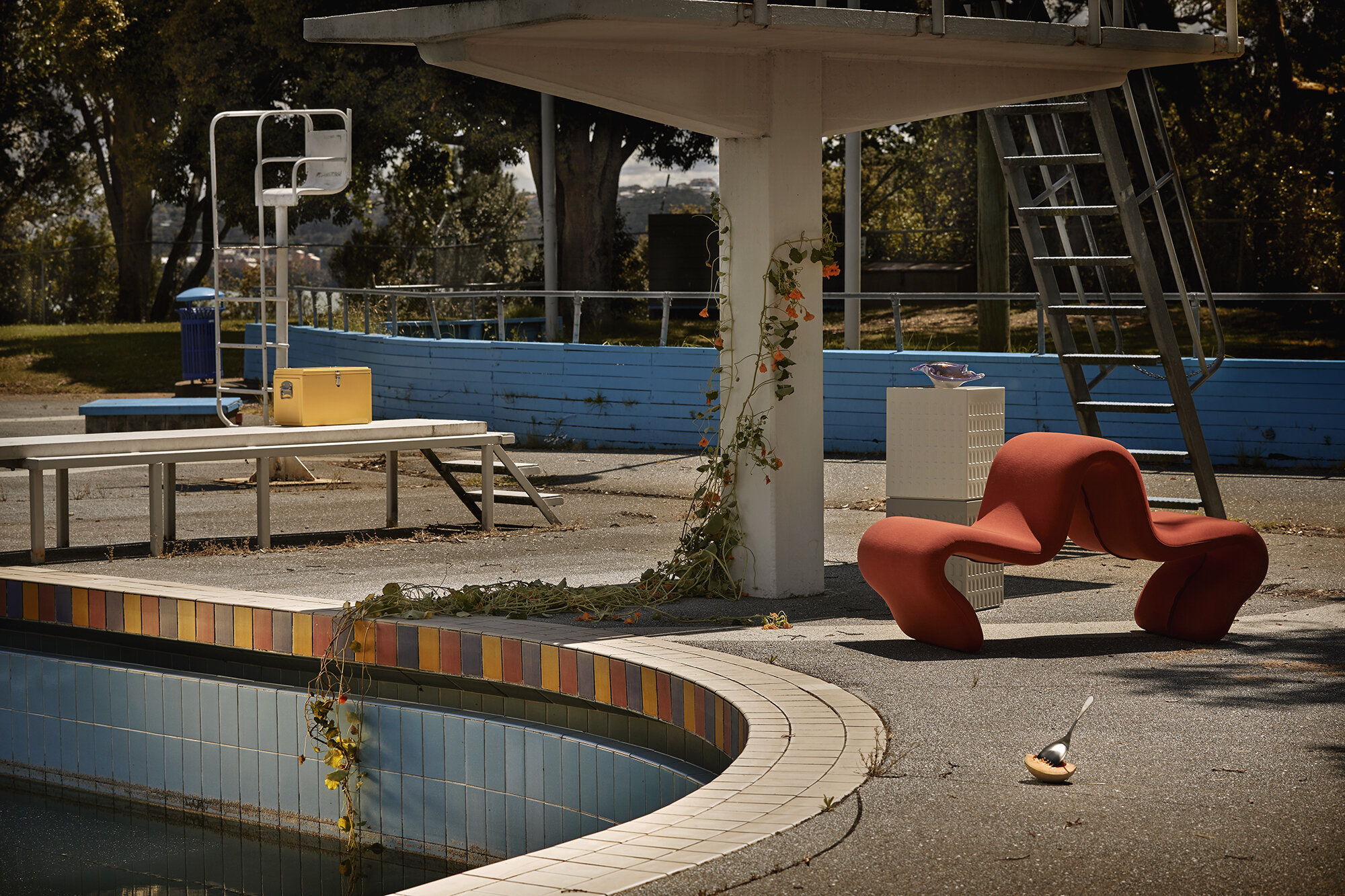 The Collective Force - Toaki Okano