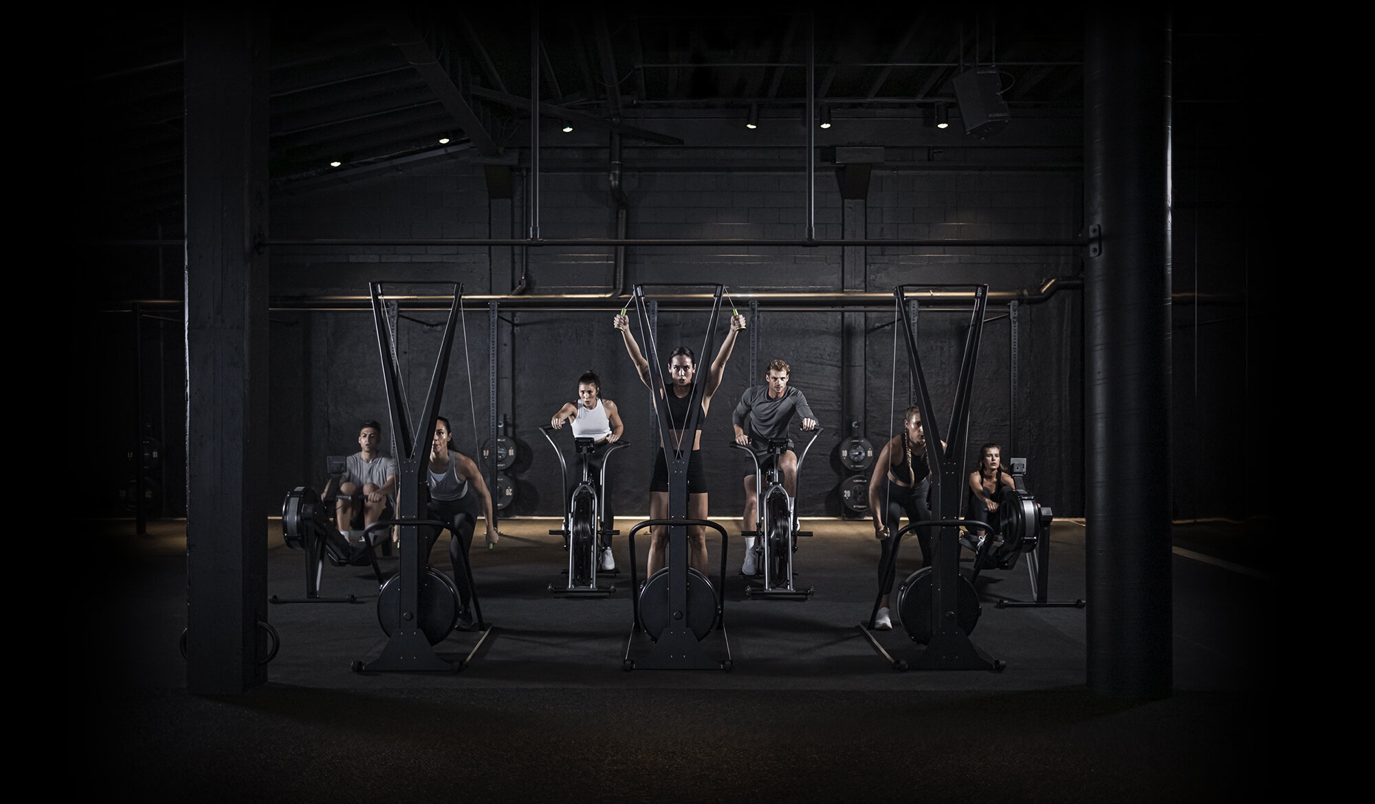 The Collective Force - Toaki Okano