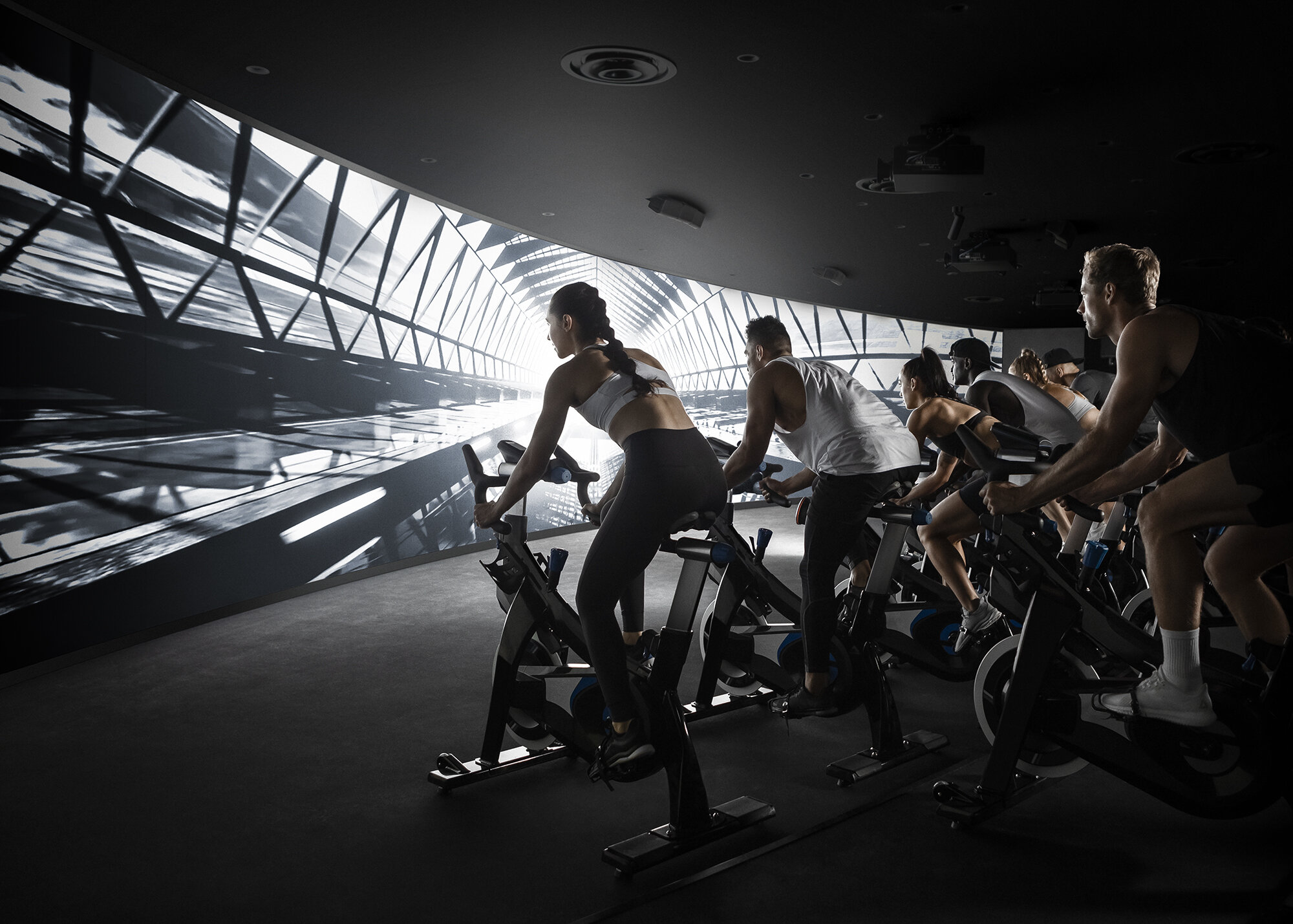 The Collective Force - Toaki Okano