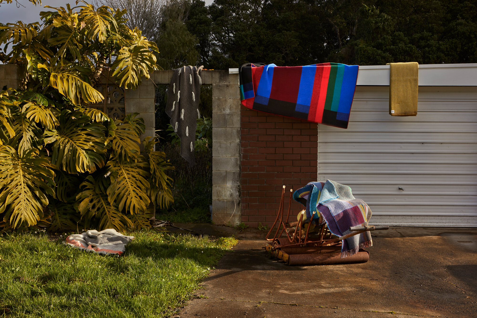 The Collective Force - Toaki Okano