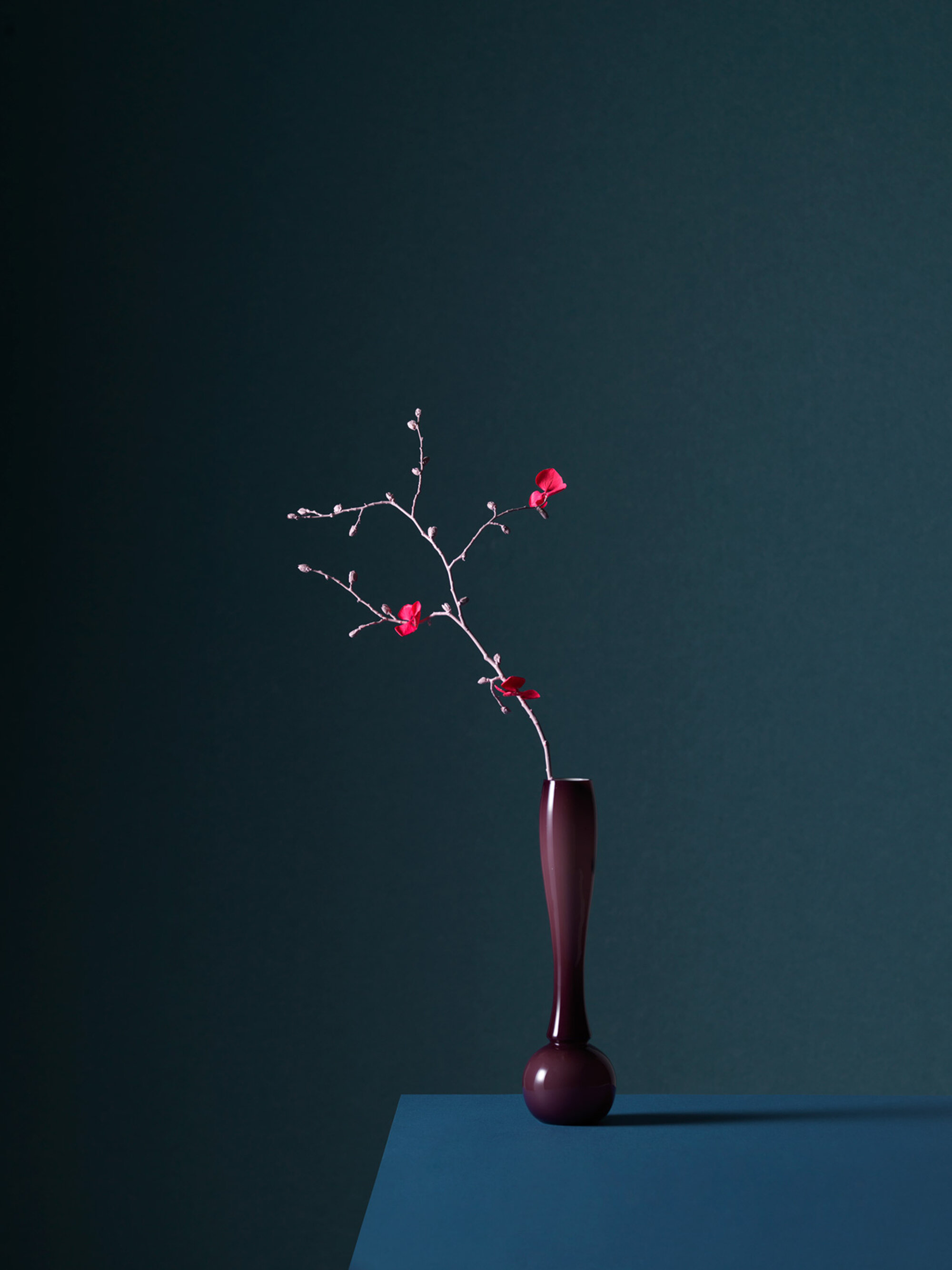 The Collective Force - Toaki Okano