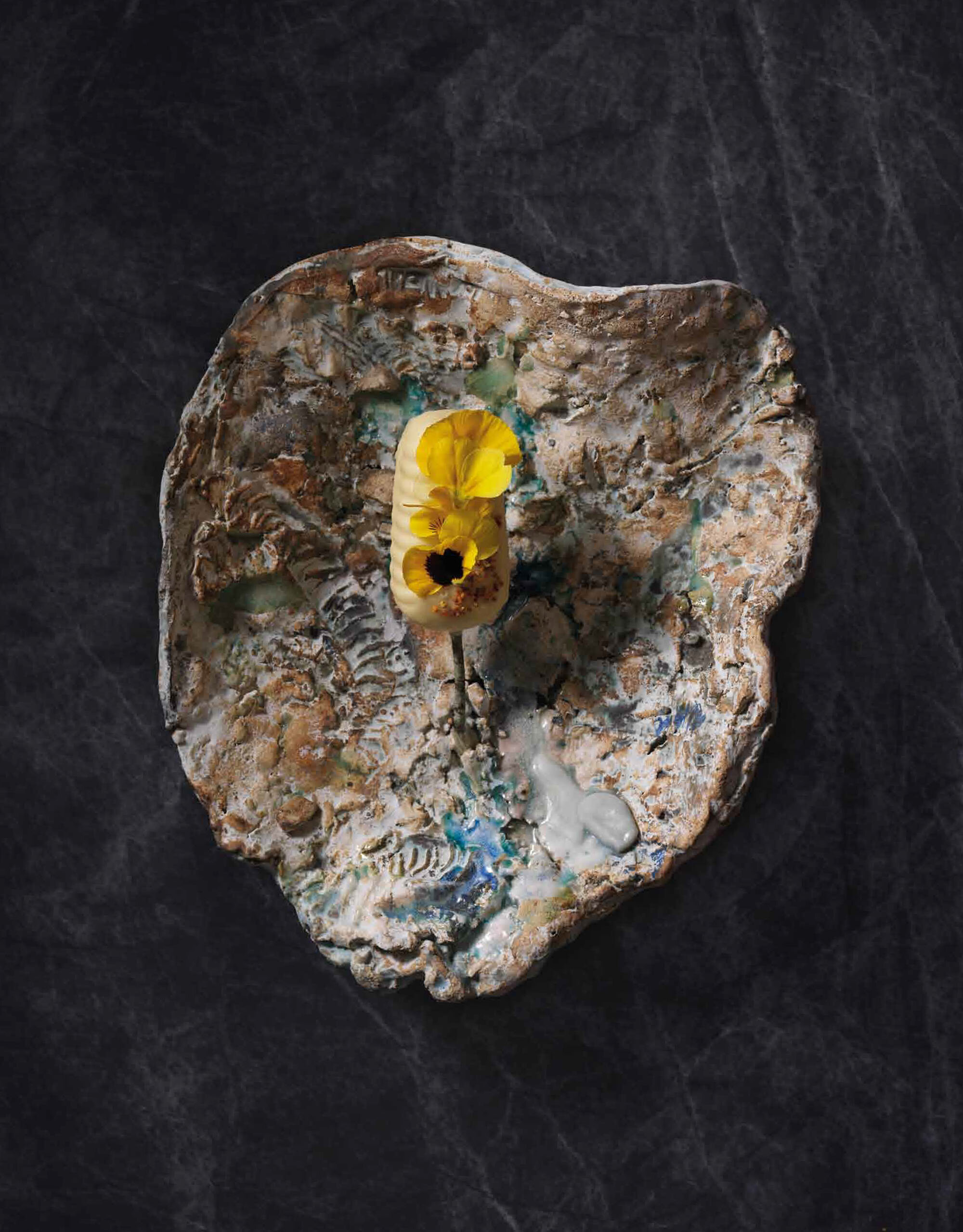 The Collective Force - Toaki Okano