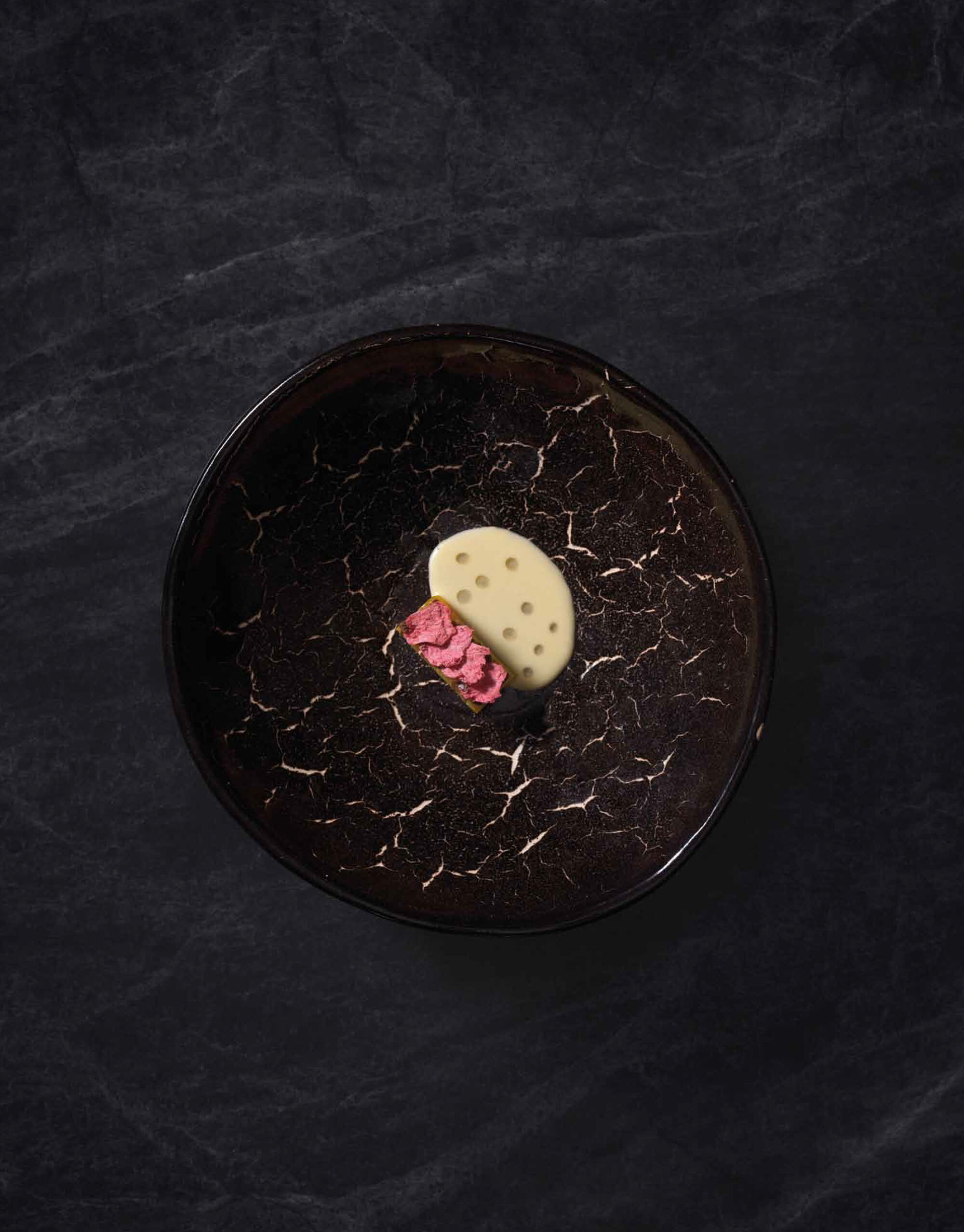 The Collective Force - Toaki Okano