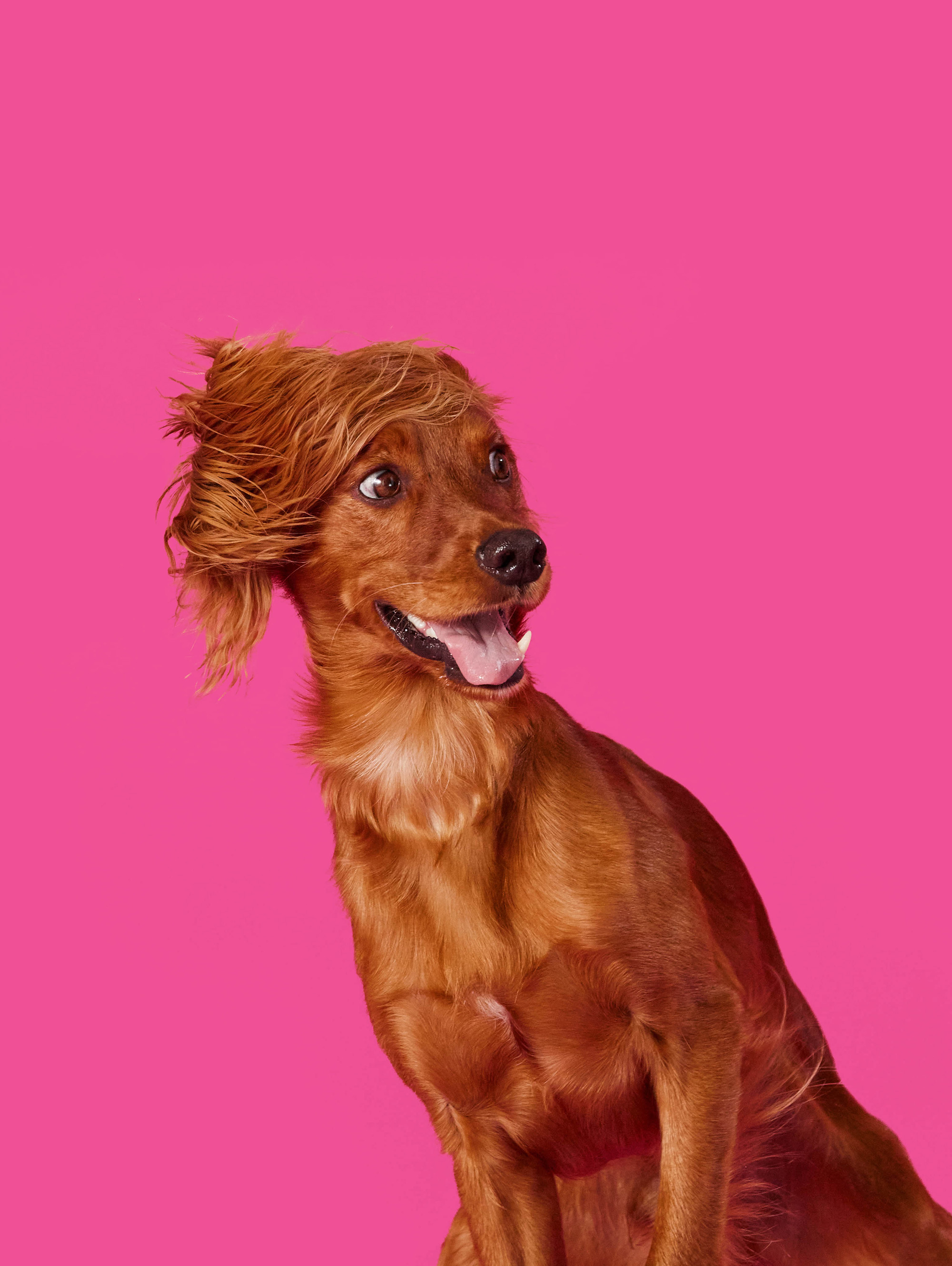 The Collective Force - Studio