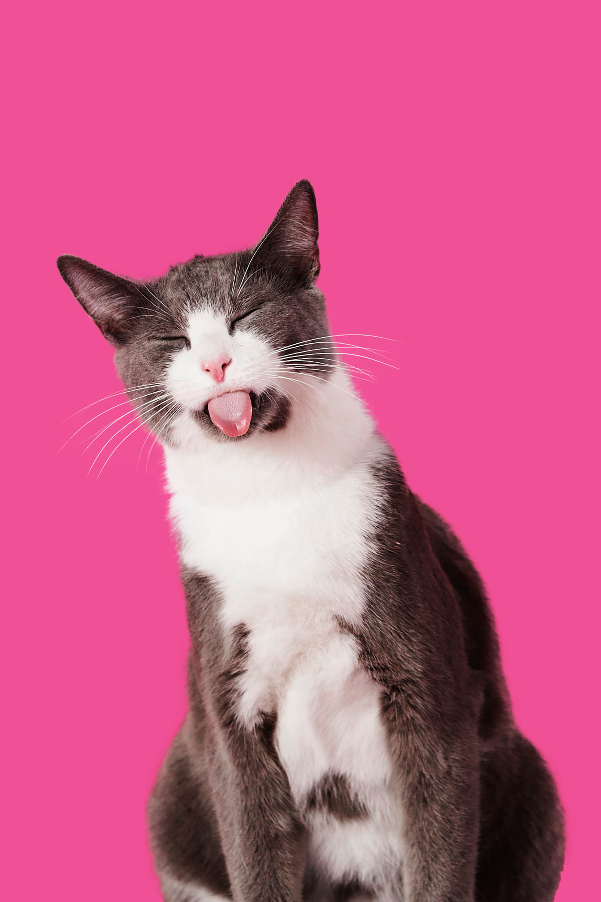 The Collective Force - Studio