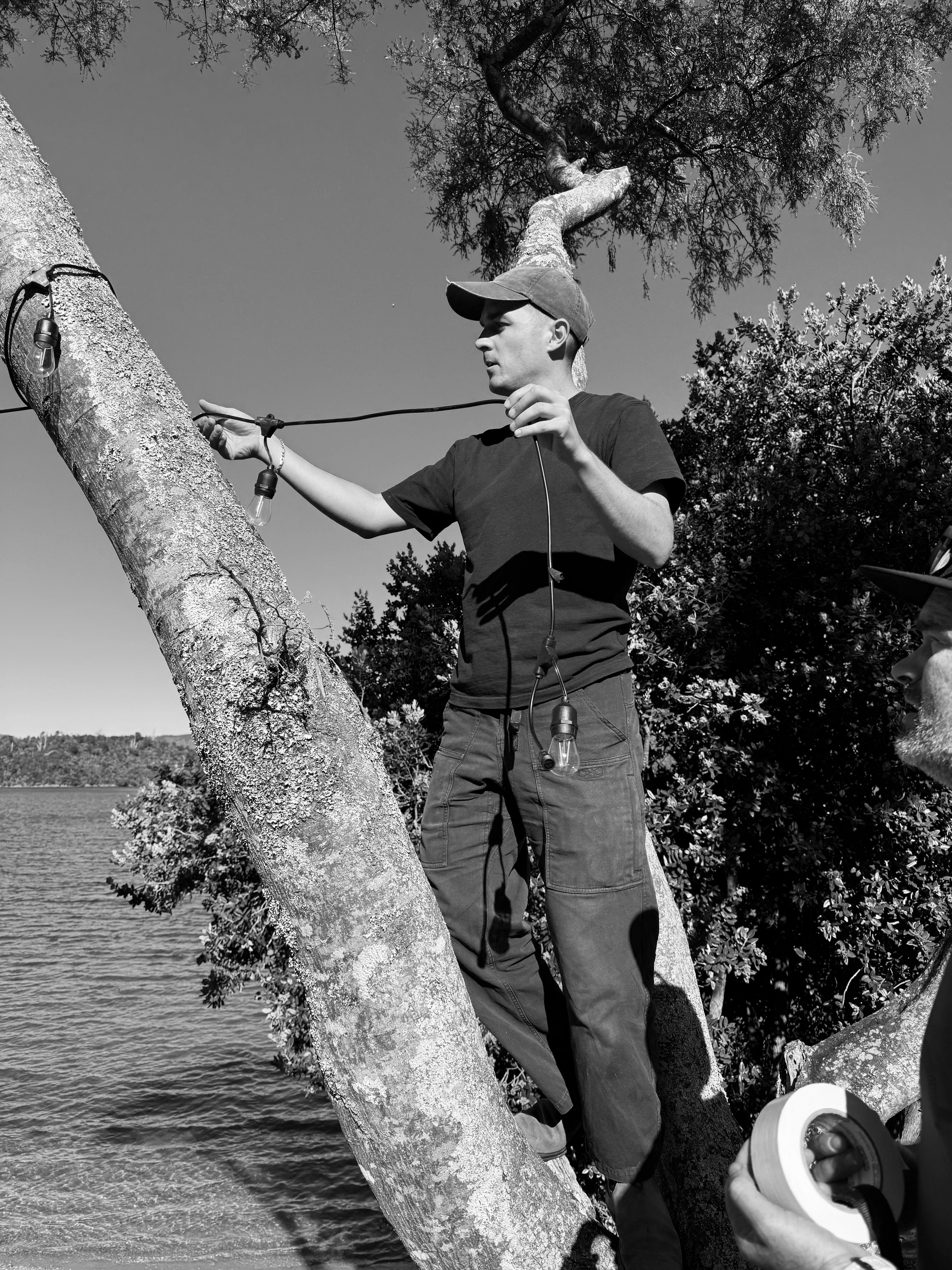 The Collective Force - Cloudy Bay | Art Of Entertaining