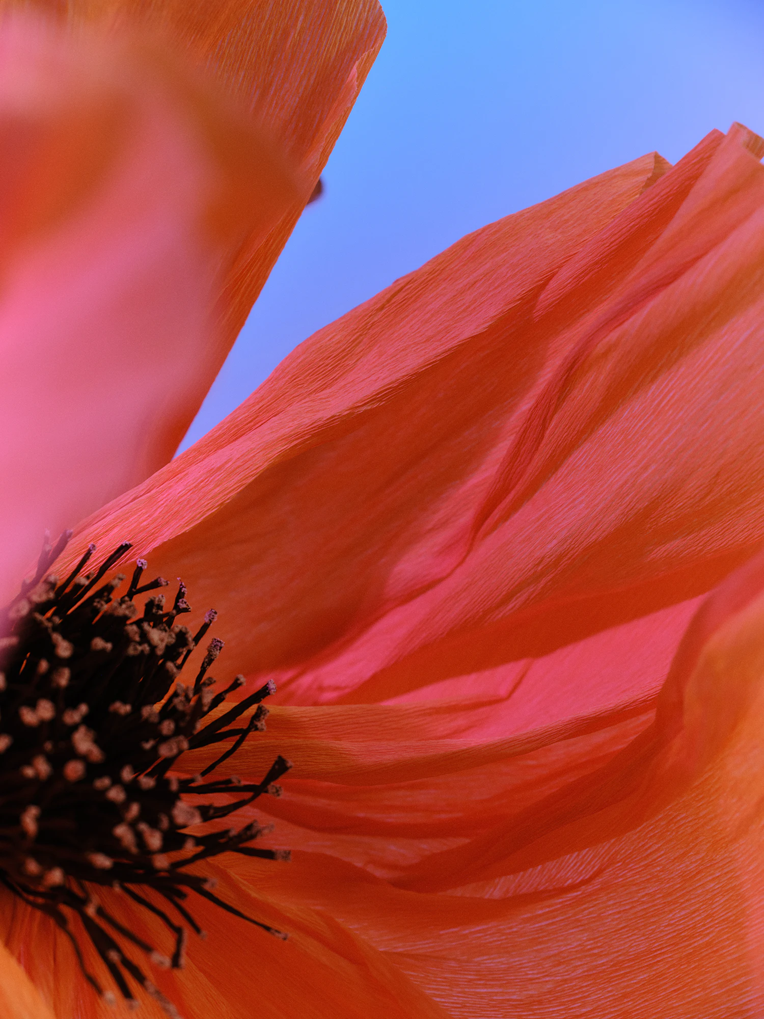 The Collective Force - DAISE*