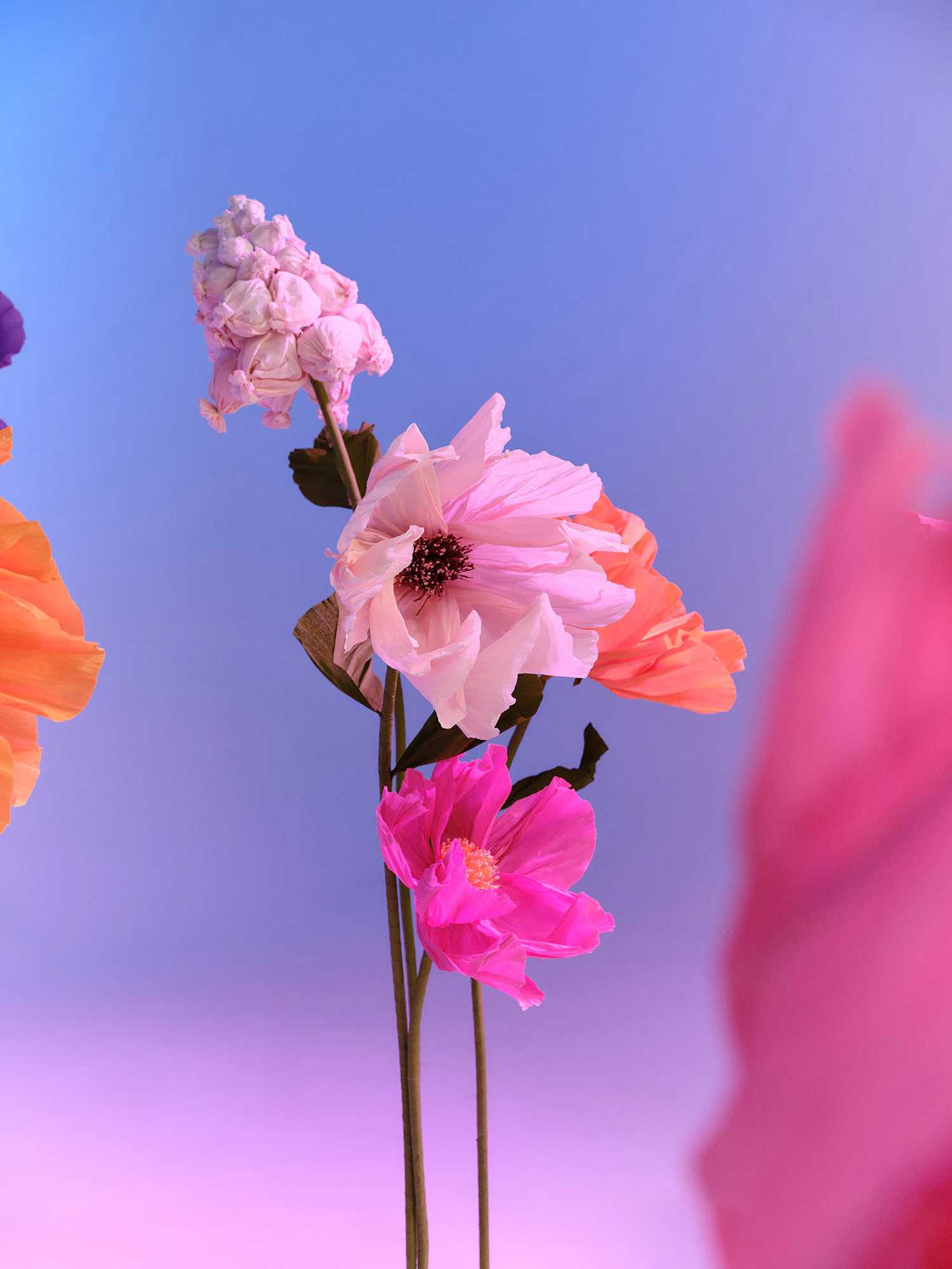 The Collective Force - DAISE*