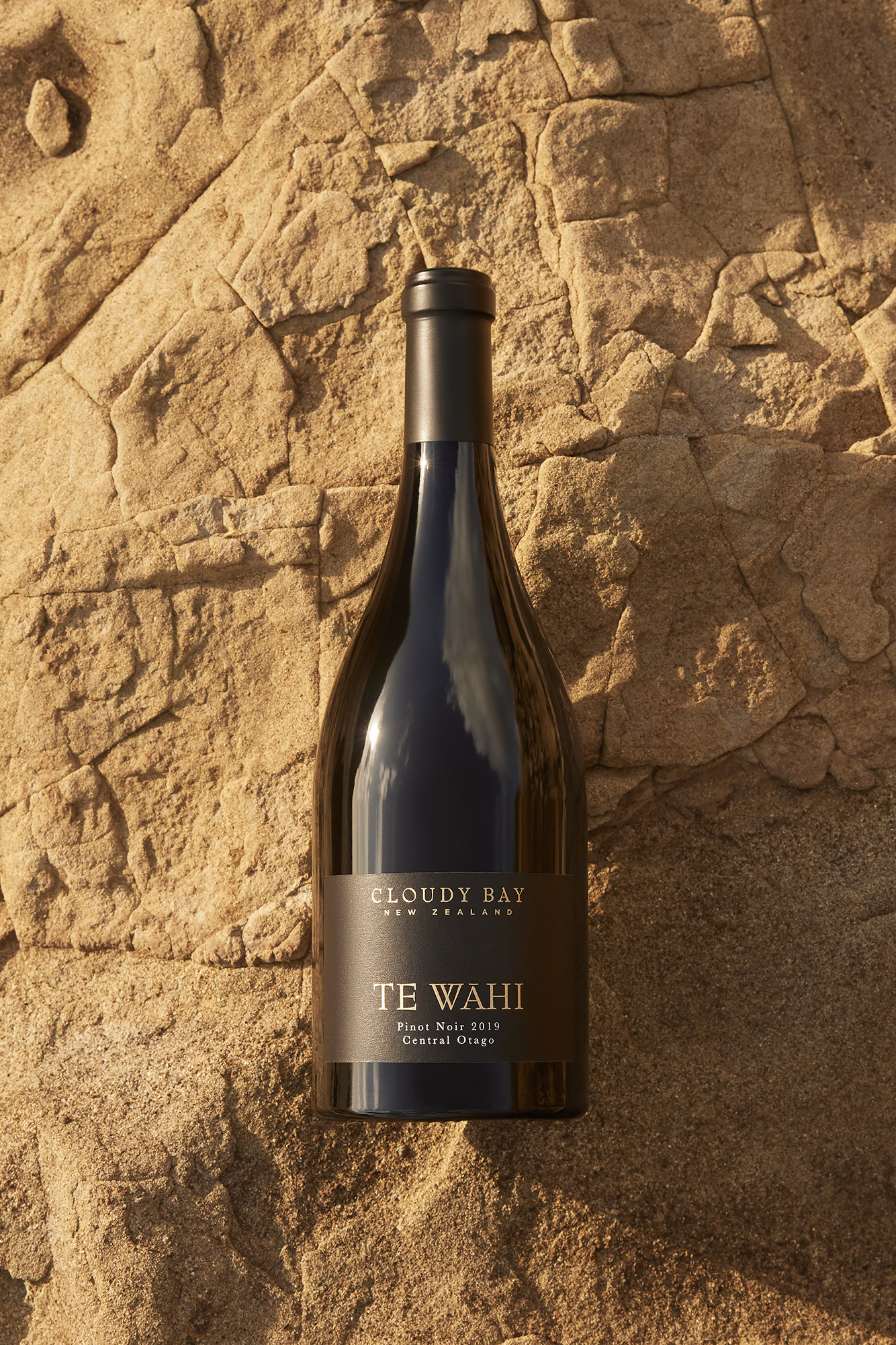 The Collective Force - Josh Griggs