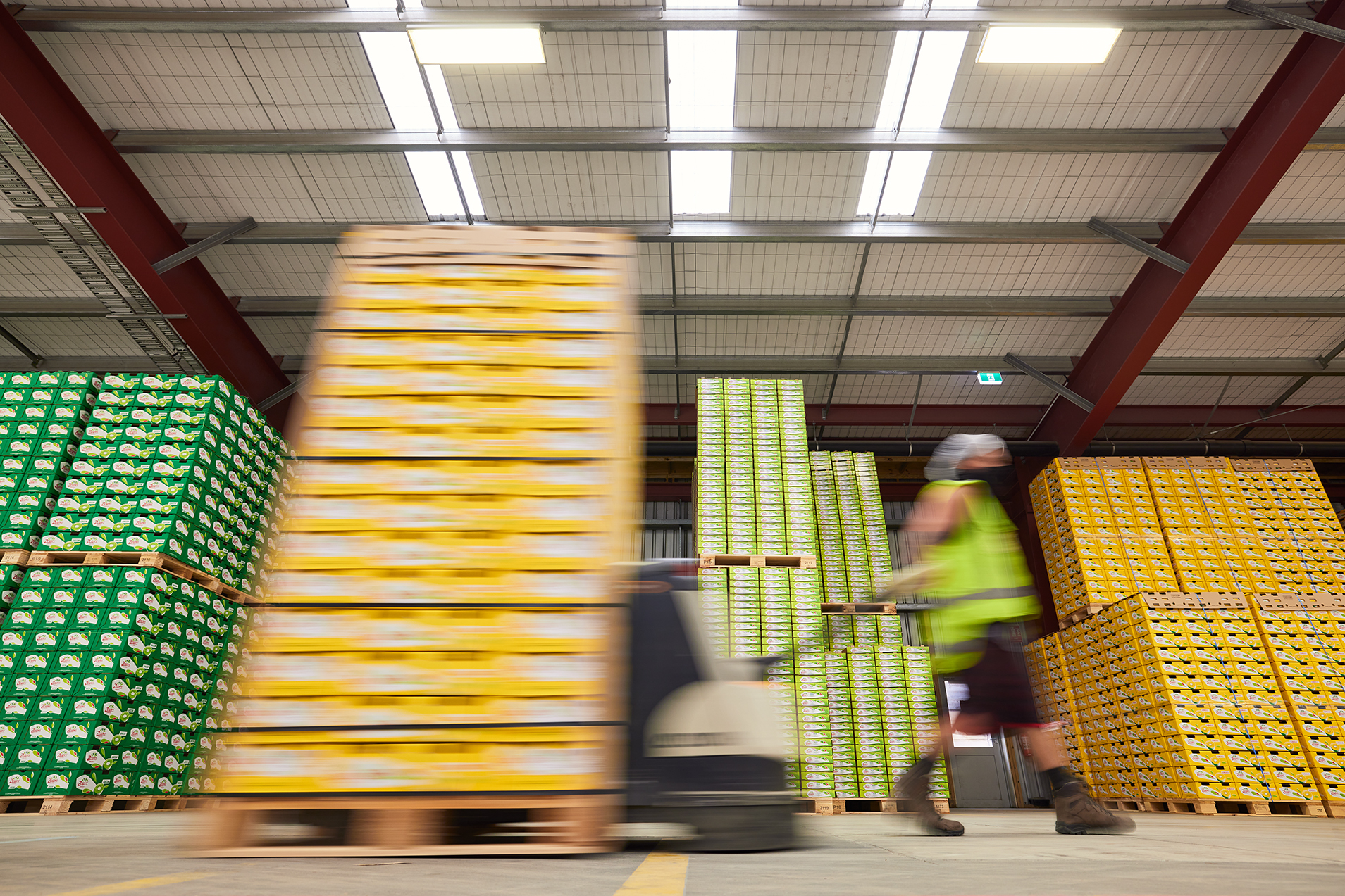 The Collective Force - Josh Griggs