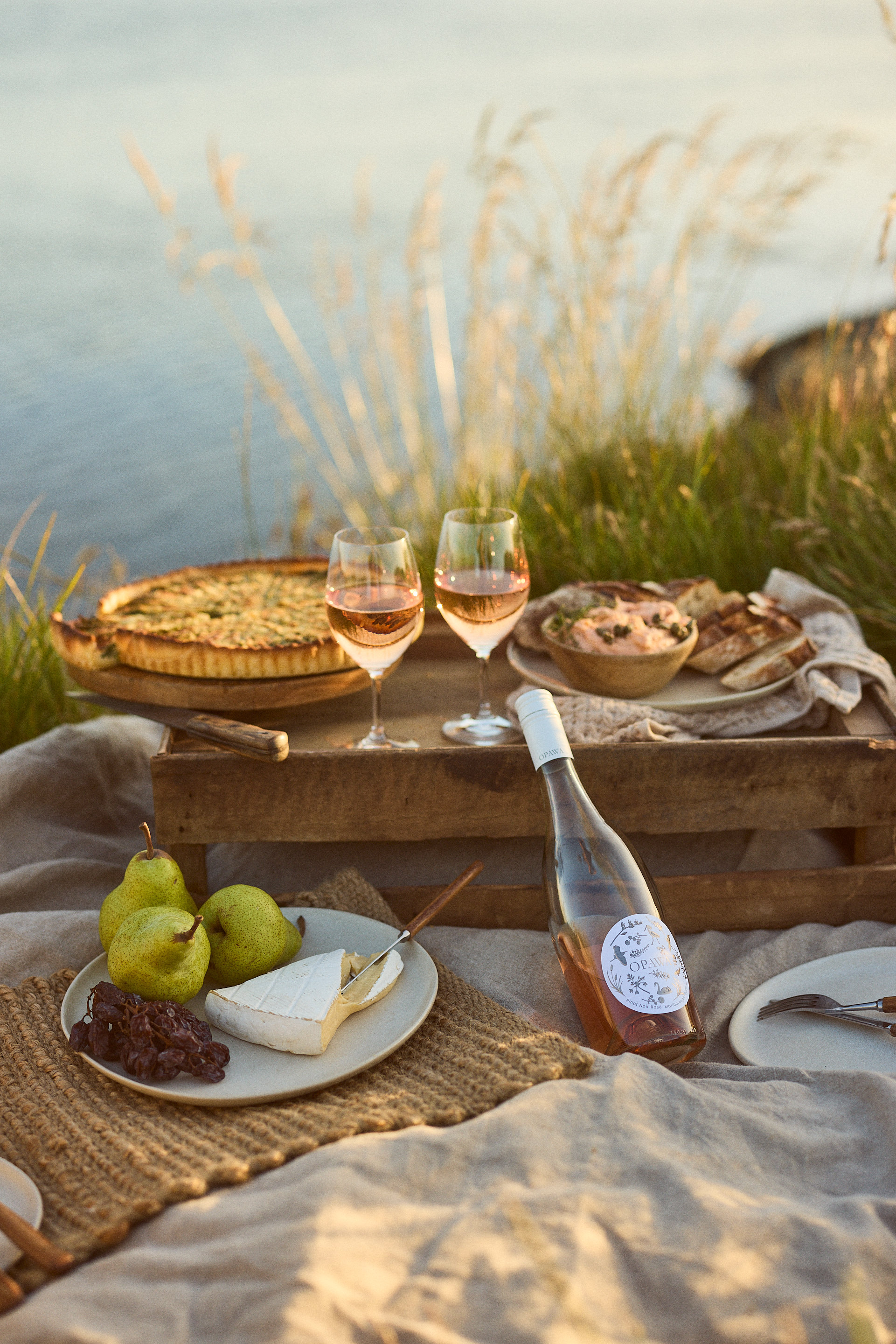 The Collective Force - Josh Griggs