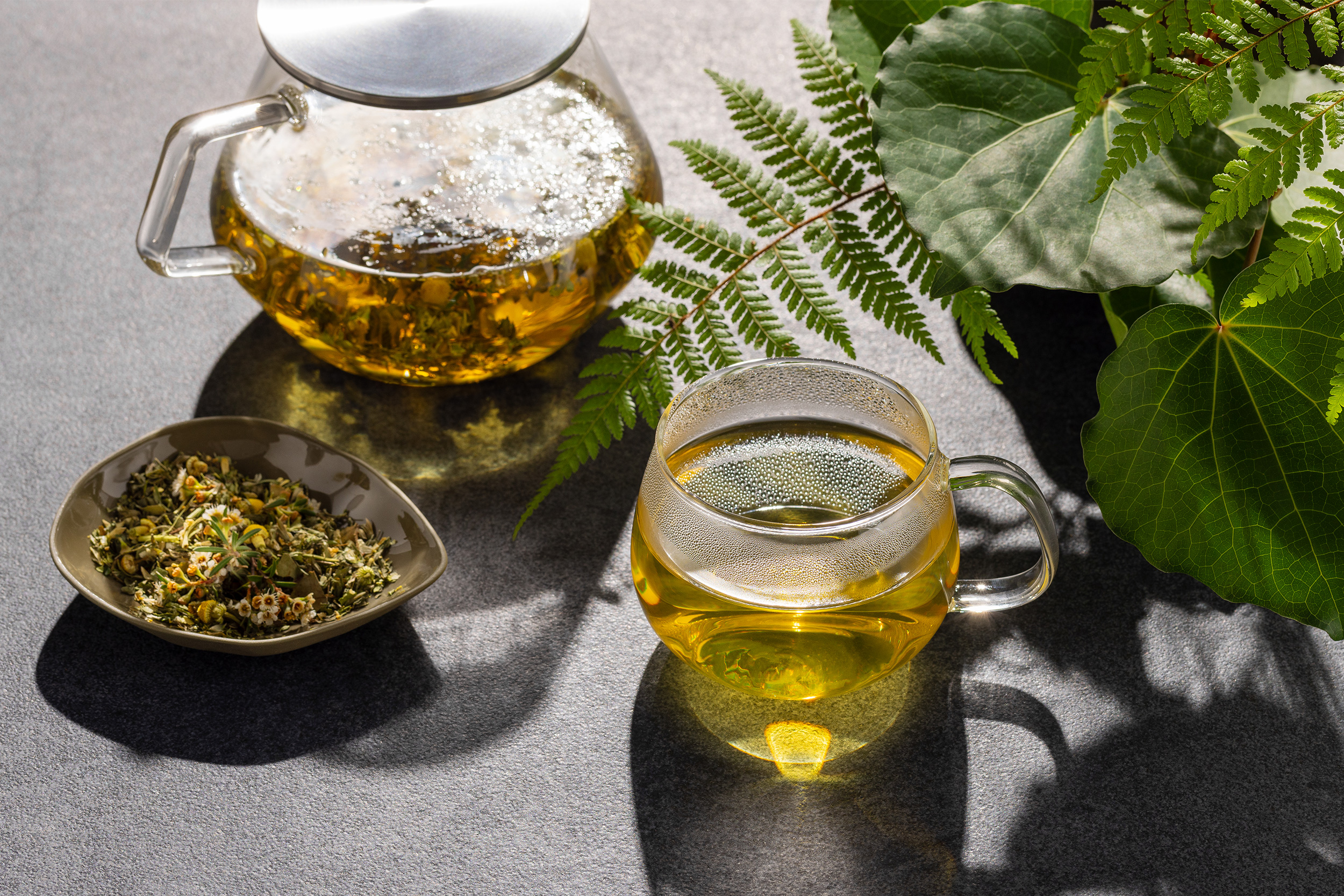 The Collective Force - Joshua Harvey