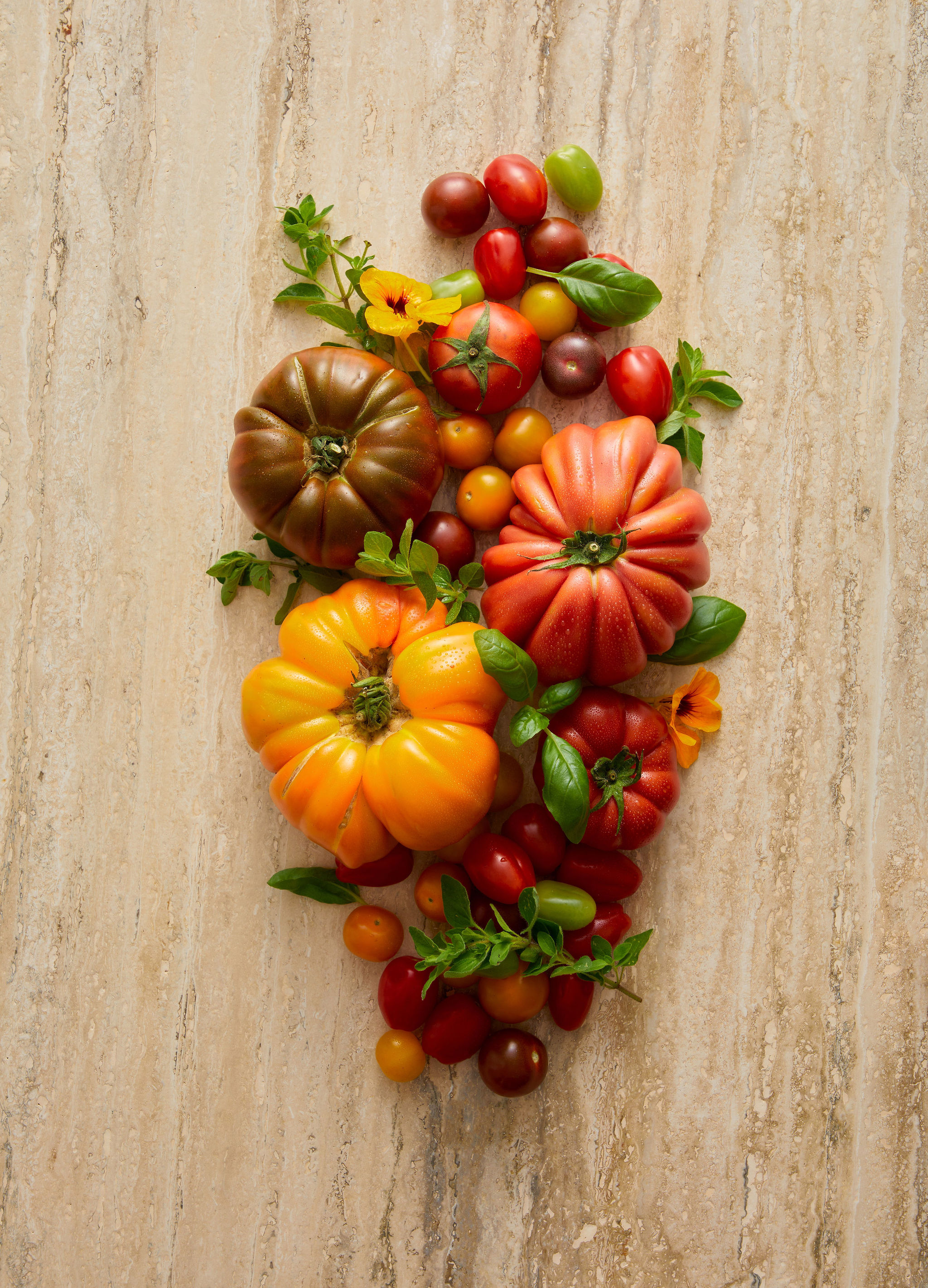 The Collective Force - Joshua Harvey