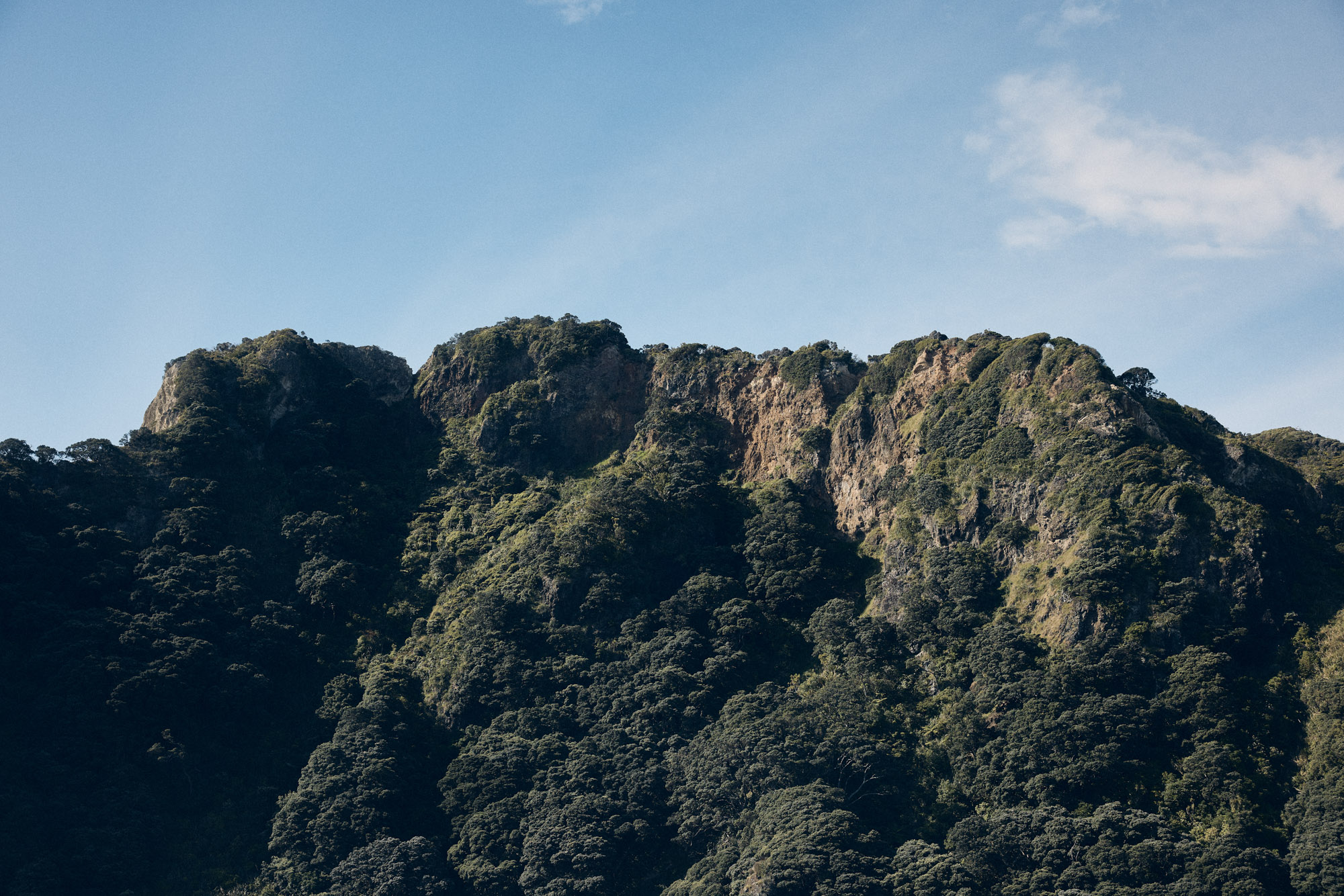 The Collective Force - MitoQ