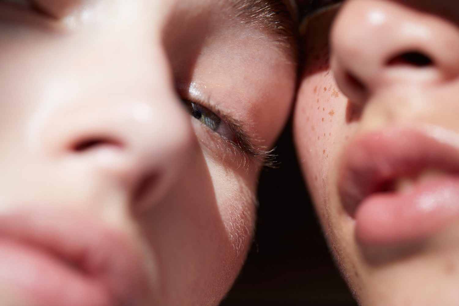 The Collective Force - Motion