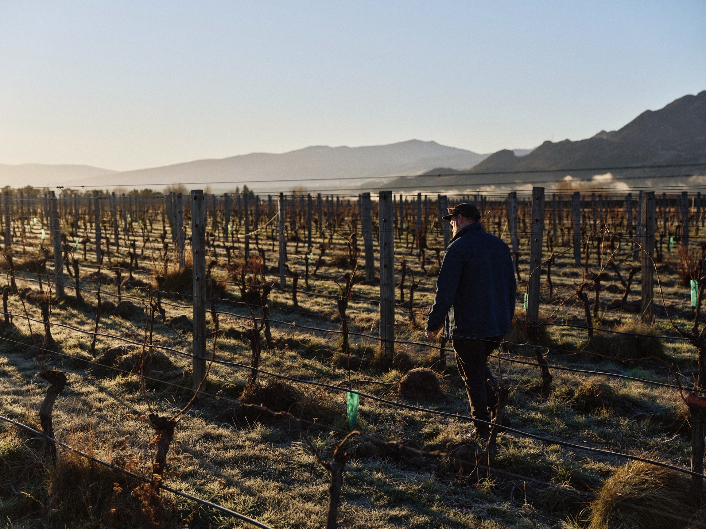 The Collective Force - Motion