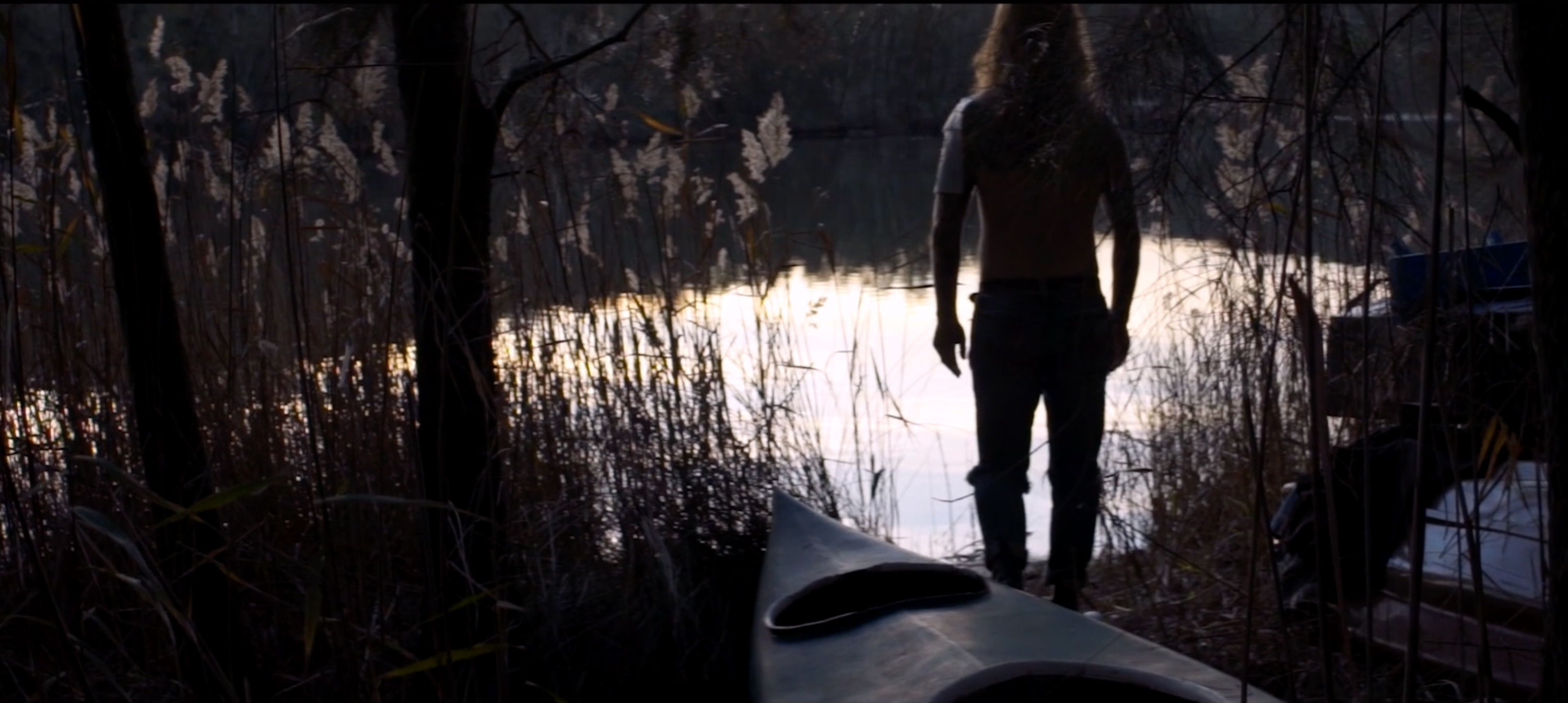 The Collective Force - Motion