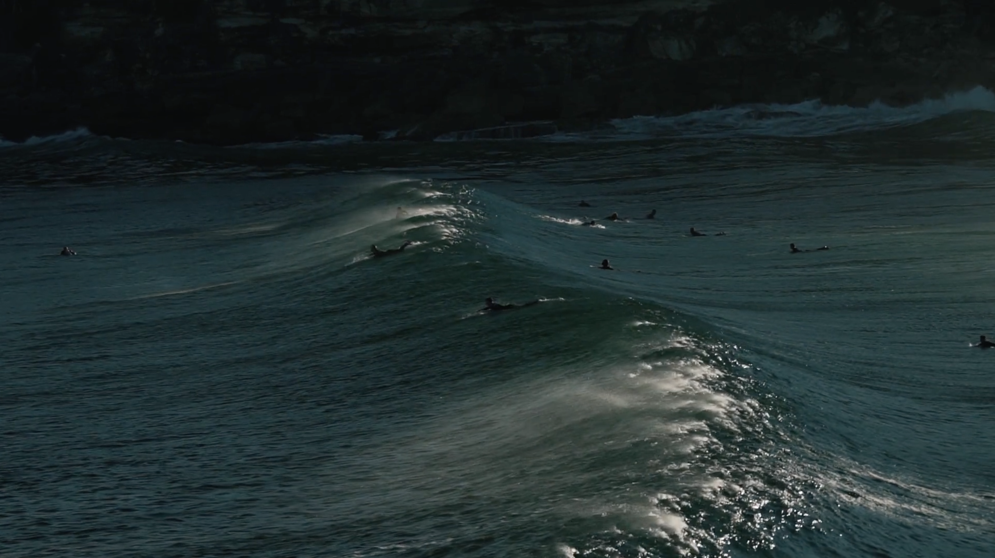 The Collective Force - Motion