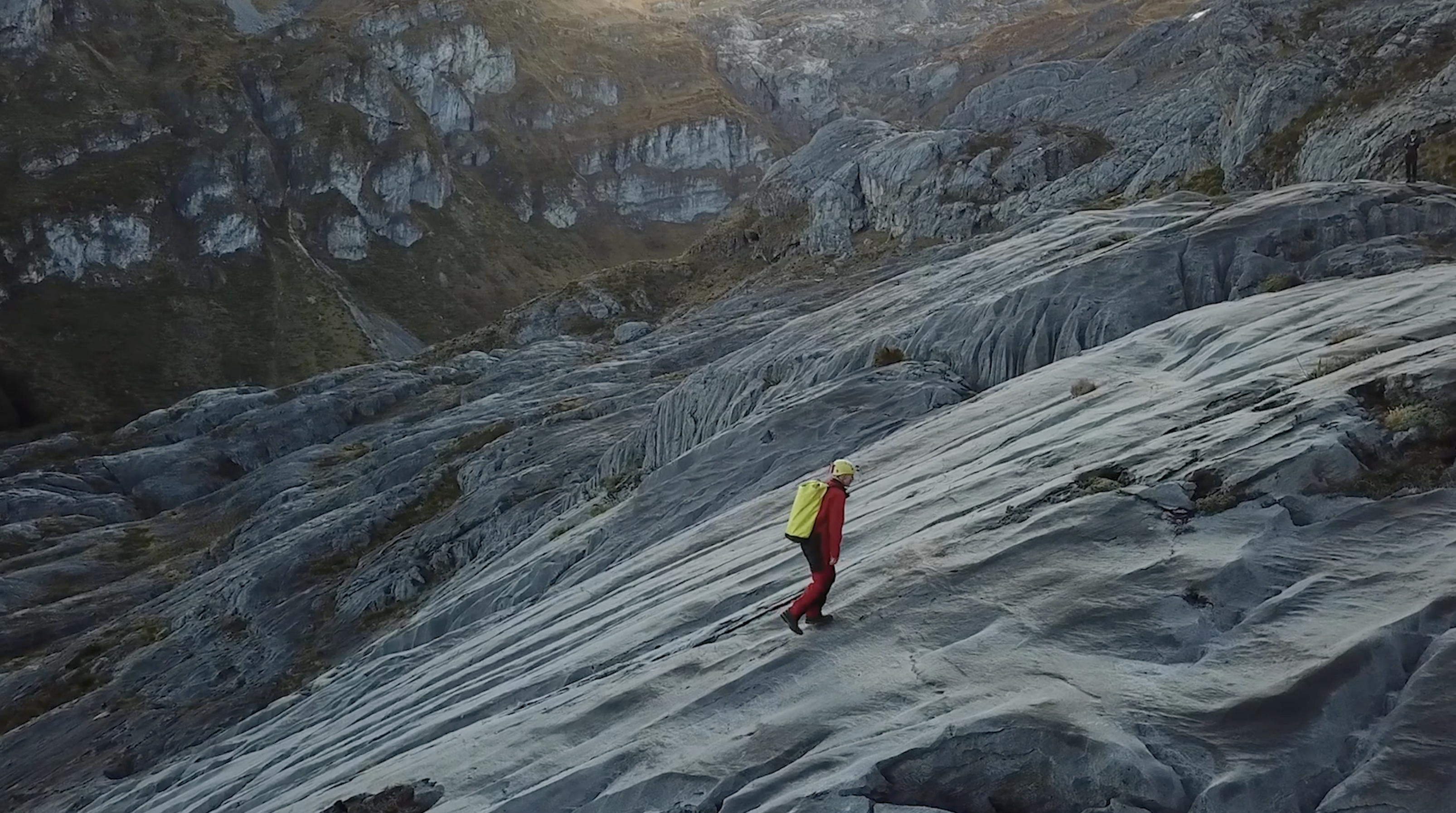 The Collective Force - Motion