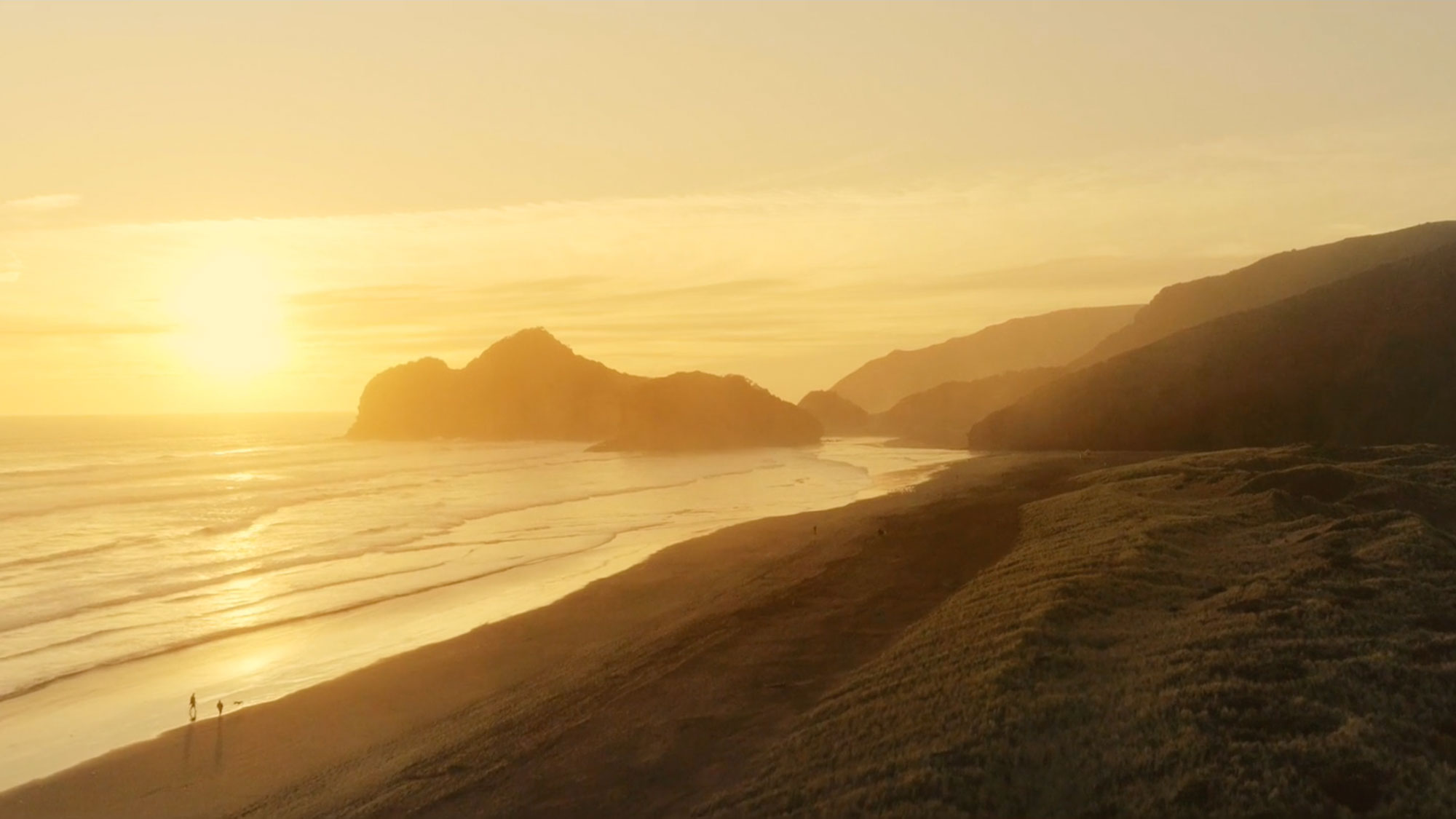 The Collective Force - Motion