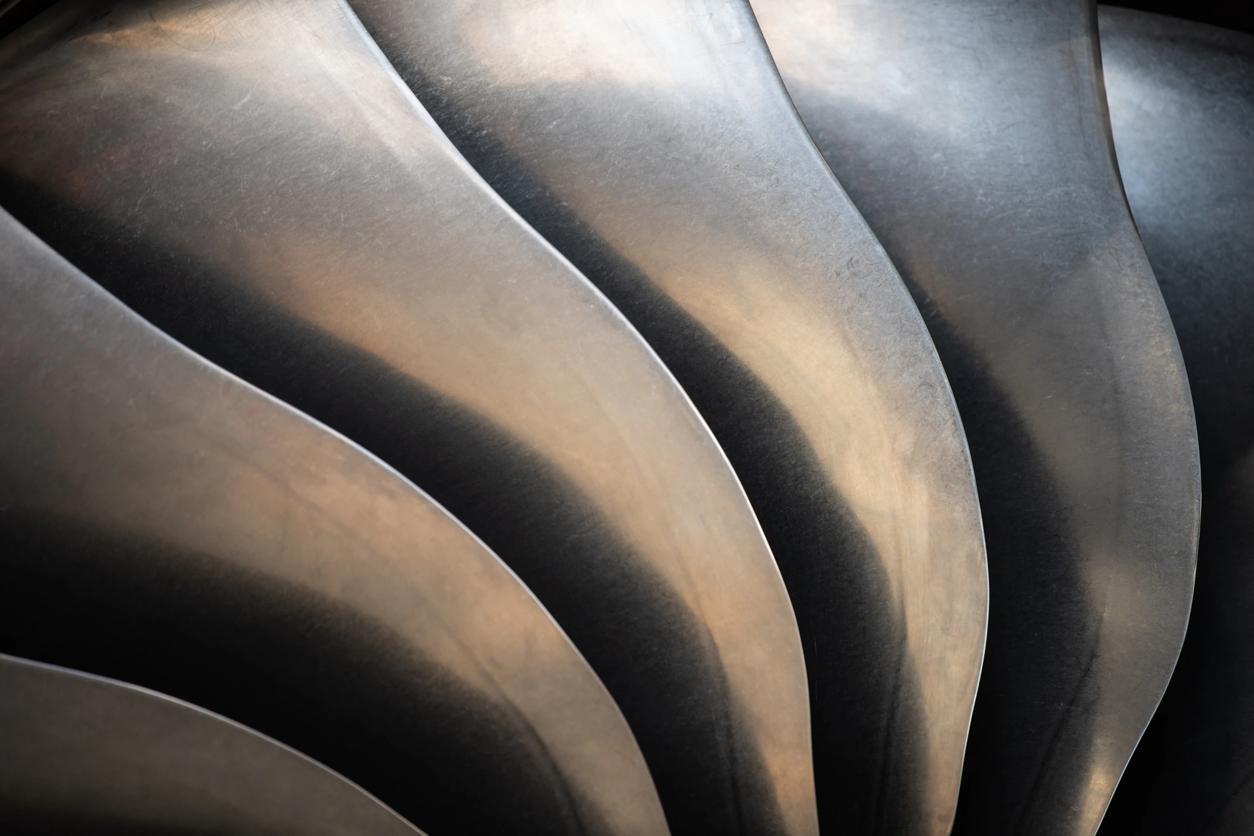 The Collective Force - Air New Zealand