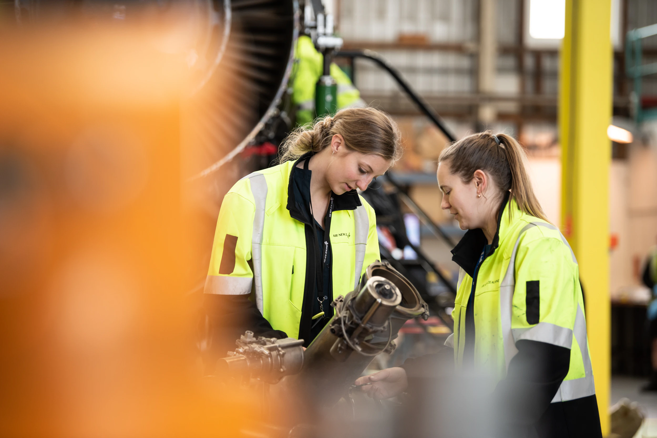 The Collective Force - Air New Zealand