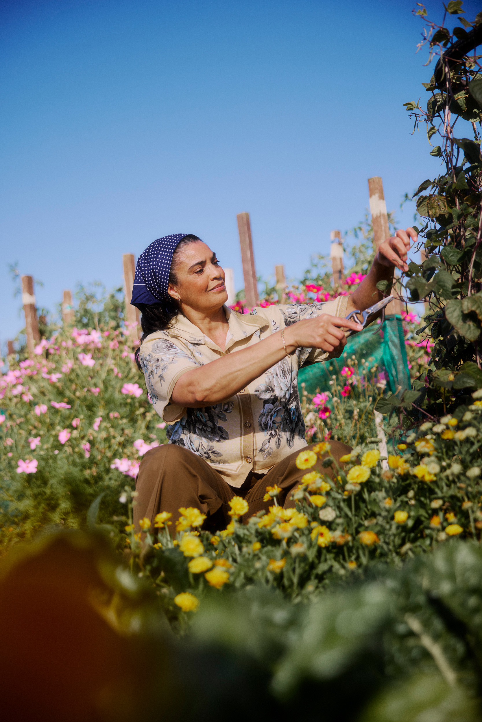 The Collective Force - Arbor Green