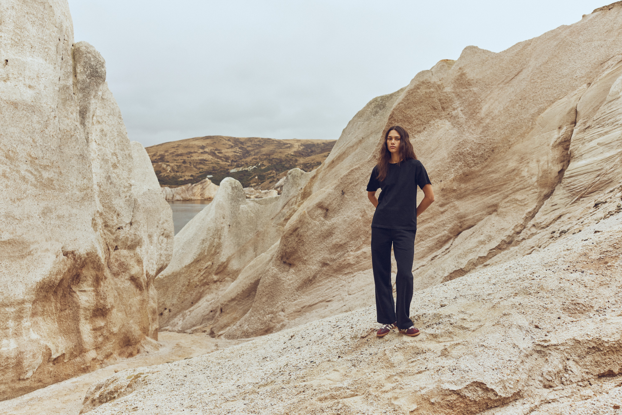 The Collective Force - AS Colour