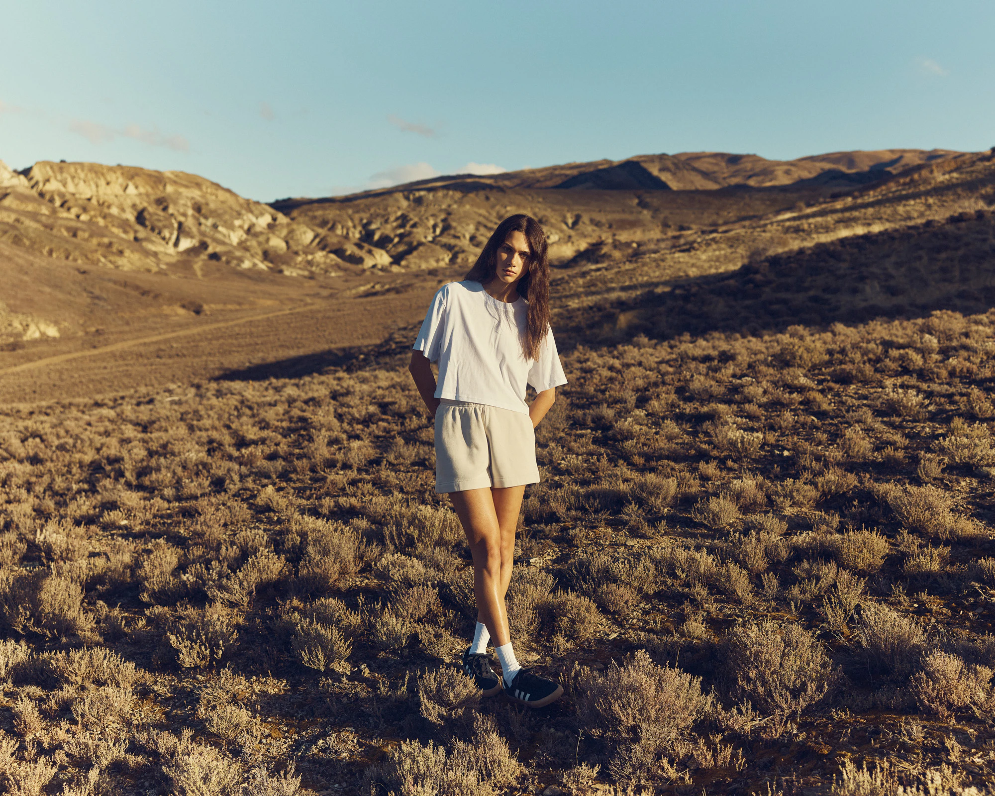 The Collective Force - AS Colour