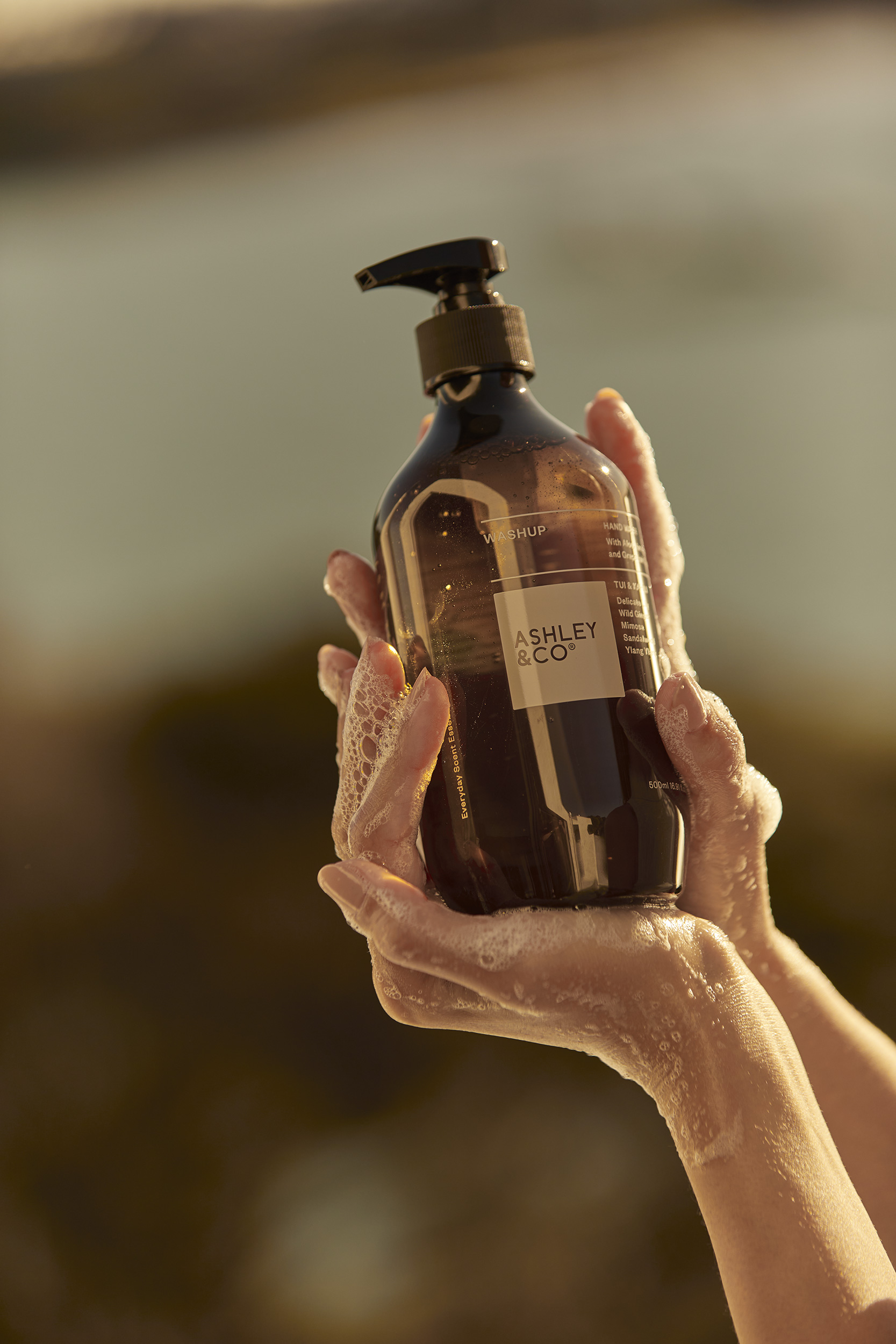 The Collective Force - Ashley & Co.