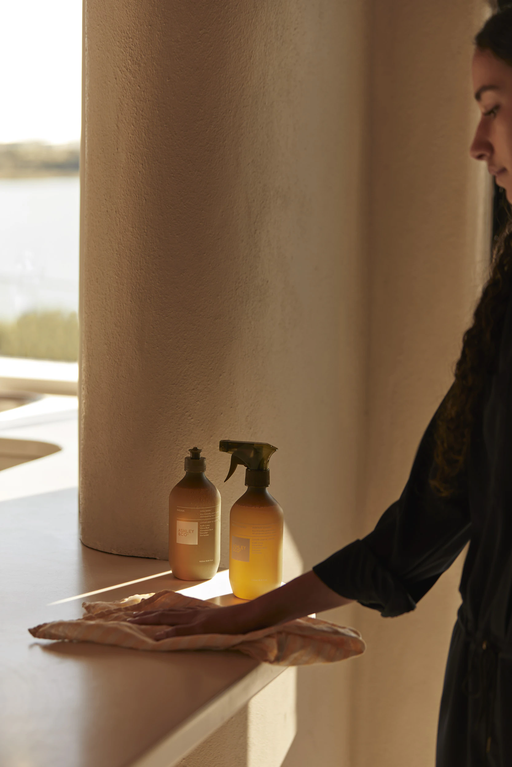 The Collective Force - Ashley & Co.